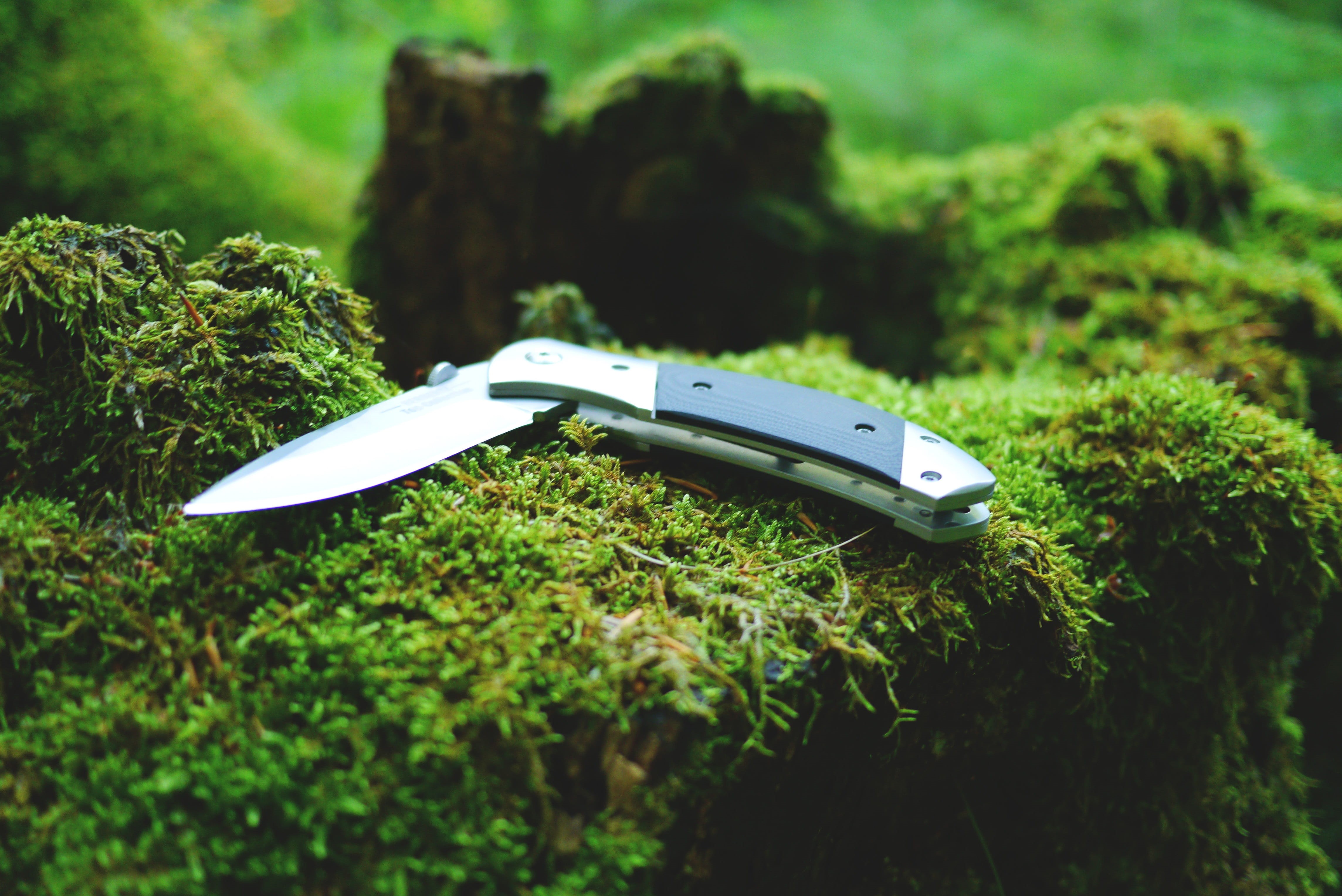 growth, survive, camp, knife, forest, focus on foreground, outdoors, green, pocketknife, sharp, grass, plant, nature, military knives, green color, grey, HD Wallpaper