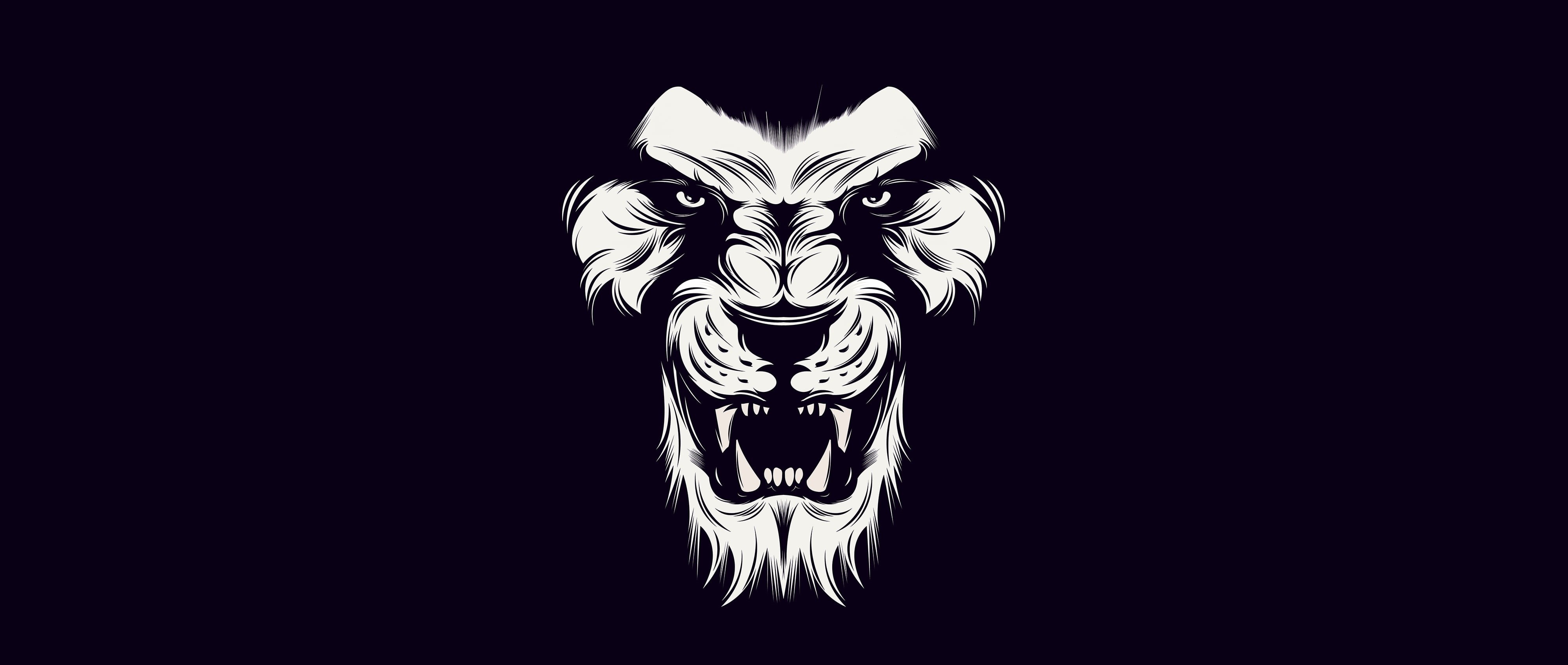 black, 4K, lion, White, HD Wallpaper