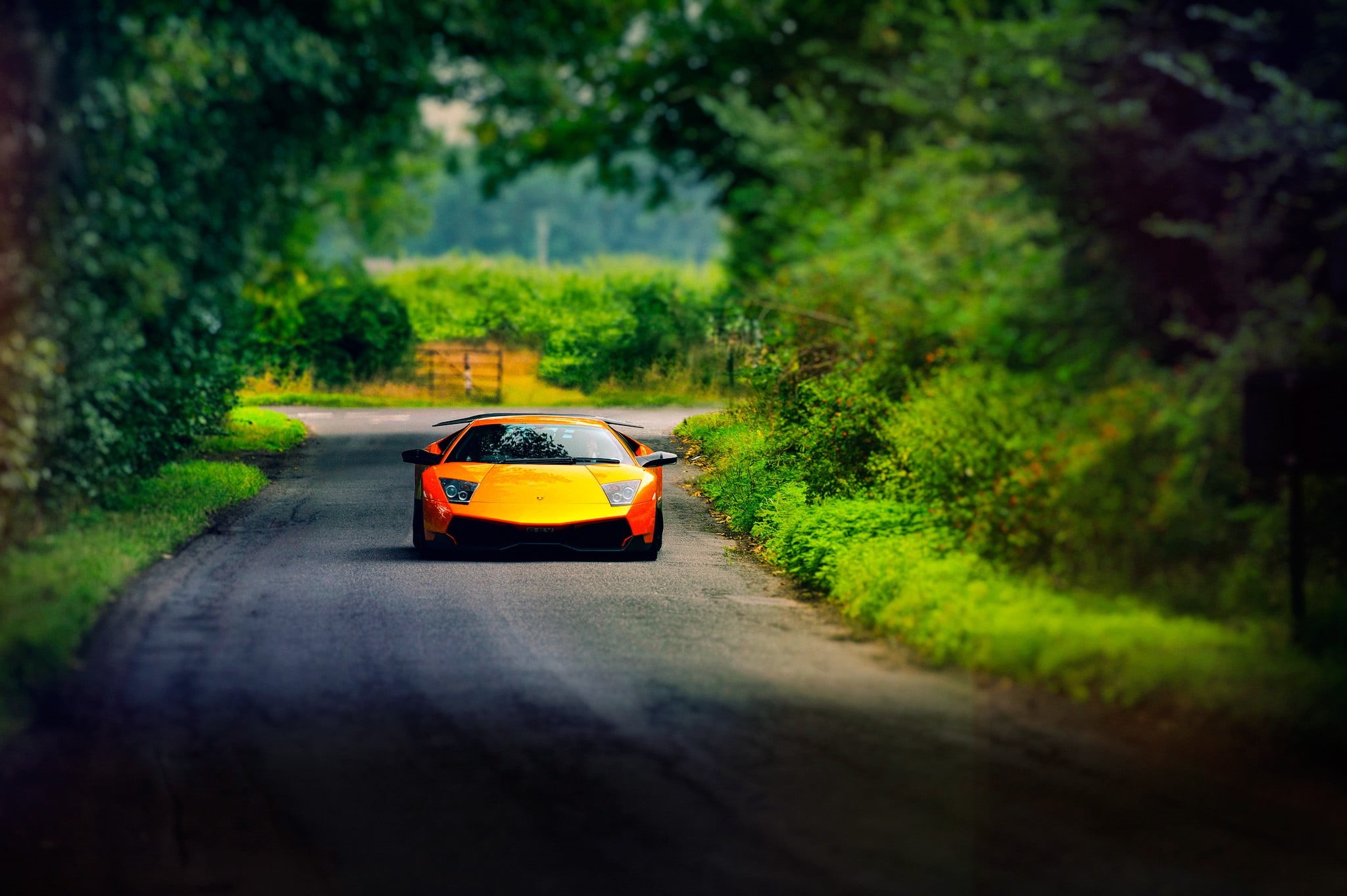 mode of transportation, no people, selective focus, outdoors, day, motion, Lamborghini, car, 1080P, plant, green color, murcielago, on the move, yellow cars, HD Wallpaper