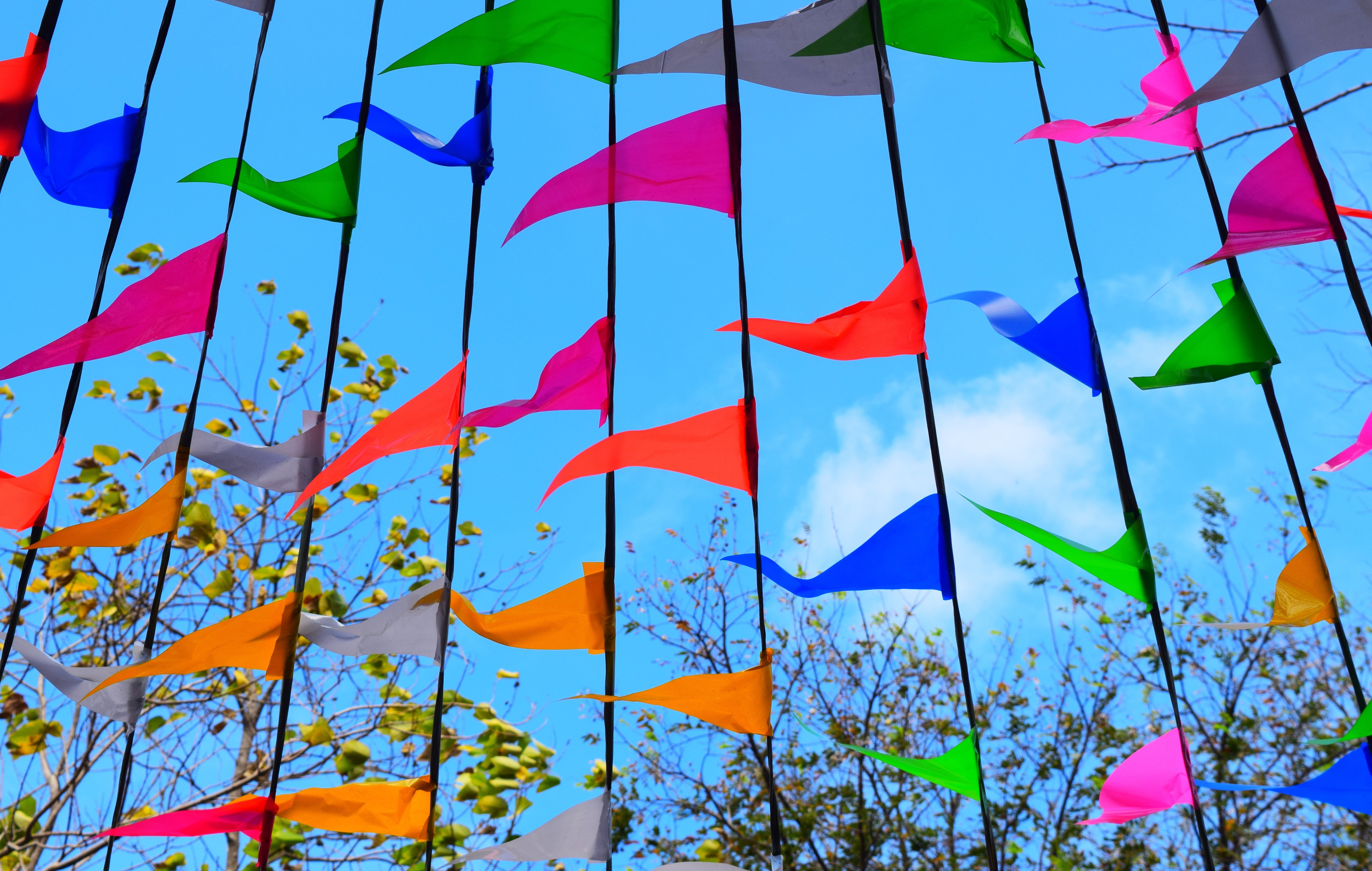 flag, leaf, growth, nobody, choice, design, shape, sunlight, art and craft, modern, patriotism, outdoors, bright, wood, creativity, low angle view, construction, HD Wallpaper