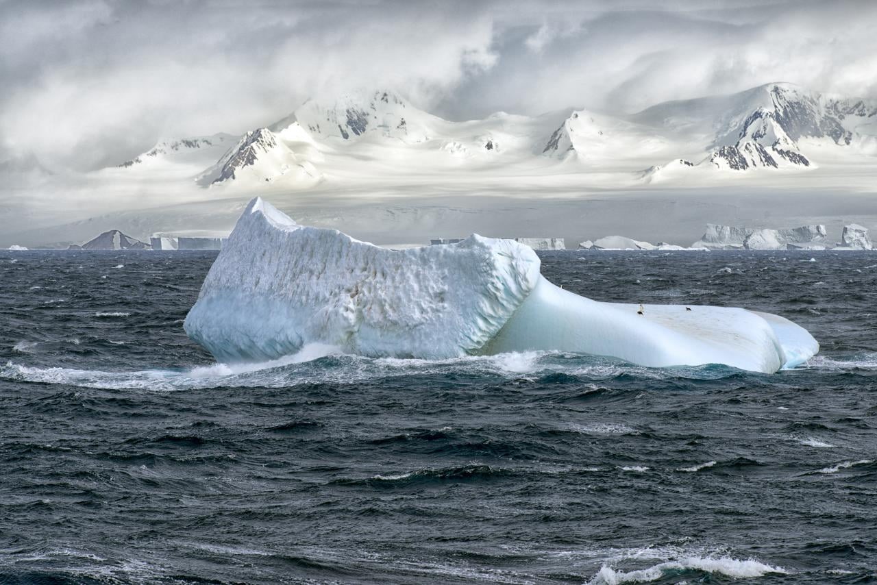 northern Alaska, south Pole, stunning, big, 720P, iceland, nature, polar Climate, snow, float, middle, penguin, arctic, polar, float on, Christopher Michel, HD Wallpaper