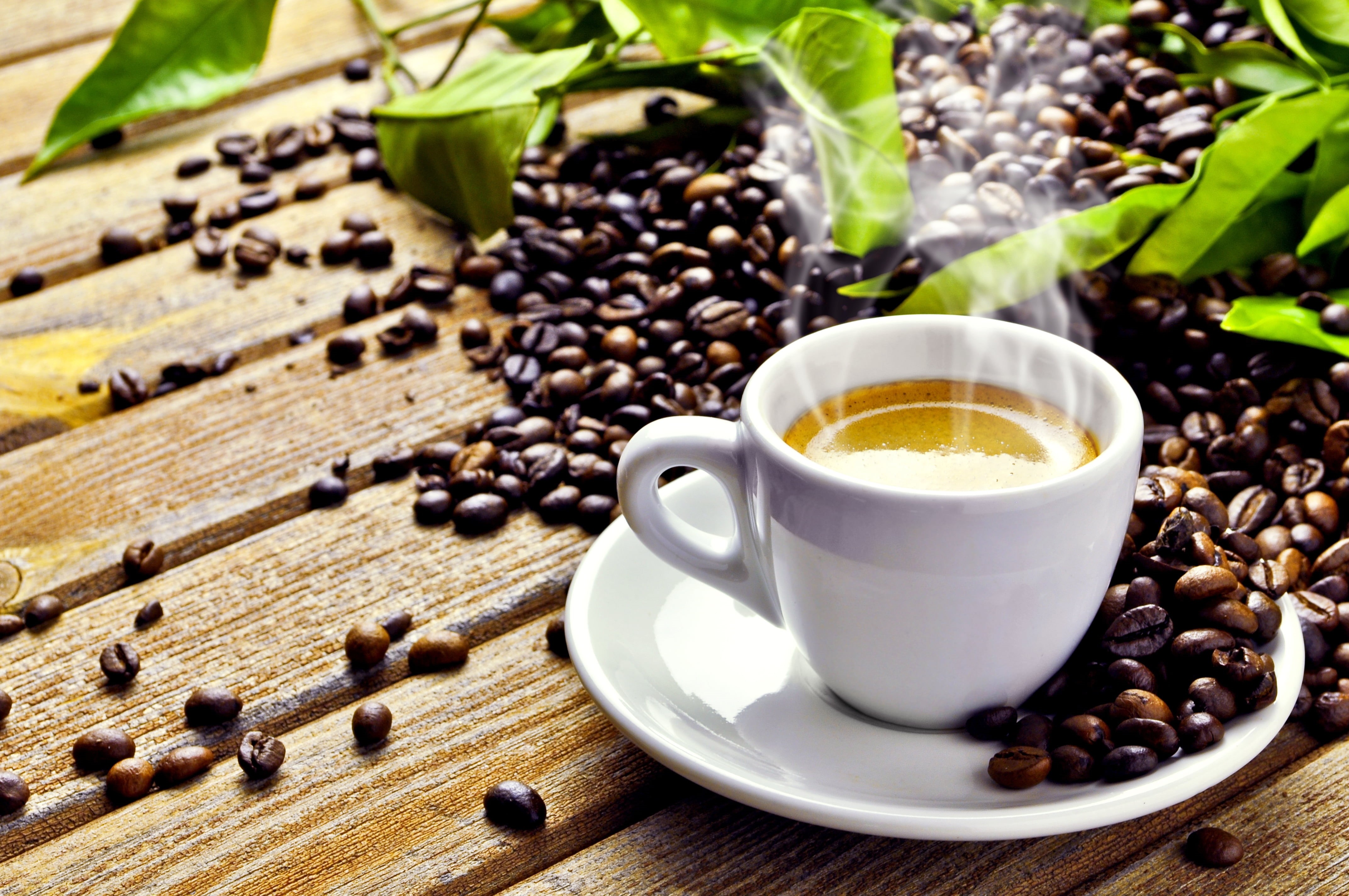 coffee - Drink, indoors, mug, ceramic, table, latte, wood - Material, coffee, heat - Temperature, dark, brown, food, grains, breakfast, mocha, white, leaves, HD Wallpaper