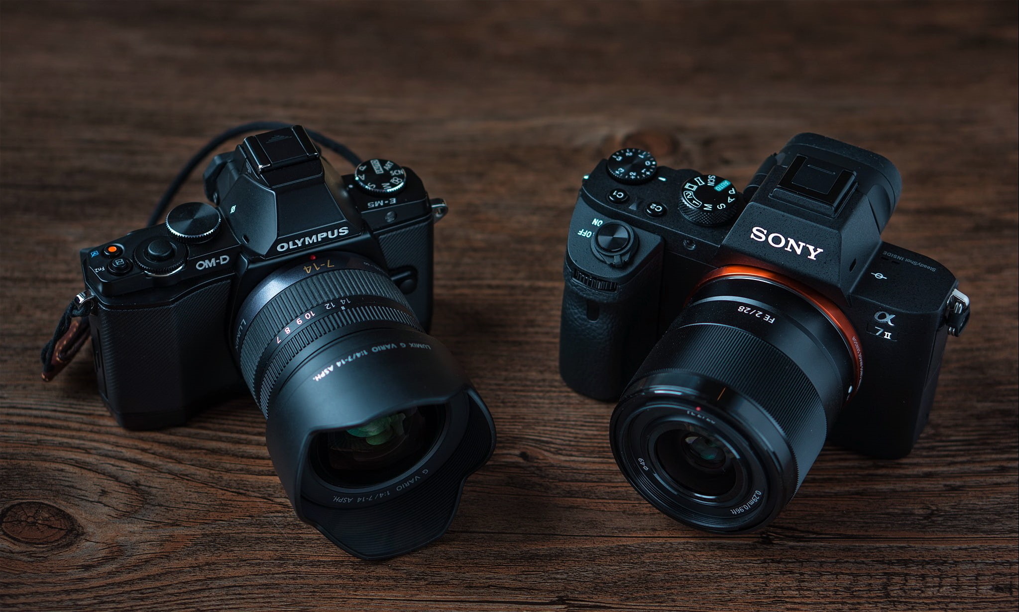1080P, Olympus OM-D E-M5, Sony Alpha 7 II, macro, background, camera, HD Wallpaper