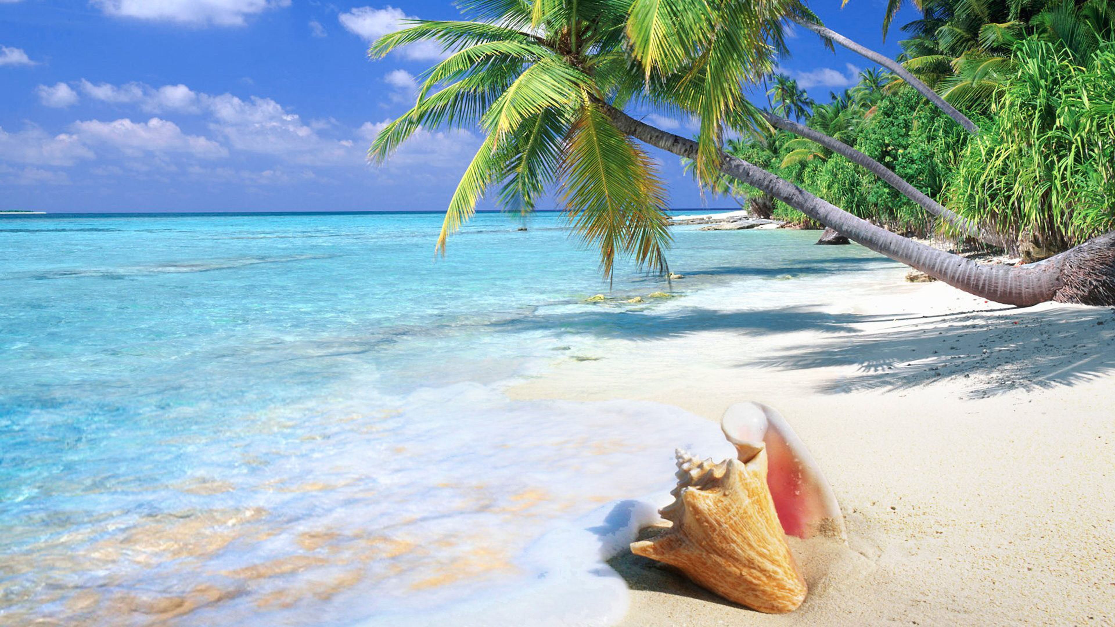 palm tree, sand, sky, ocean, trees, island, coconut palm tree, trip, horizon over water, nature, beauty in nature, human body part, 4K, scenics - nature, HD Wallpaper