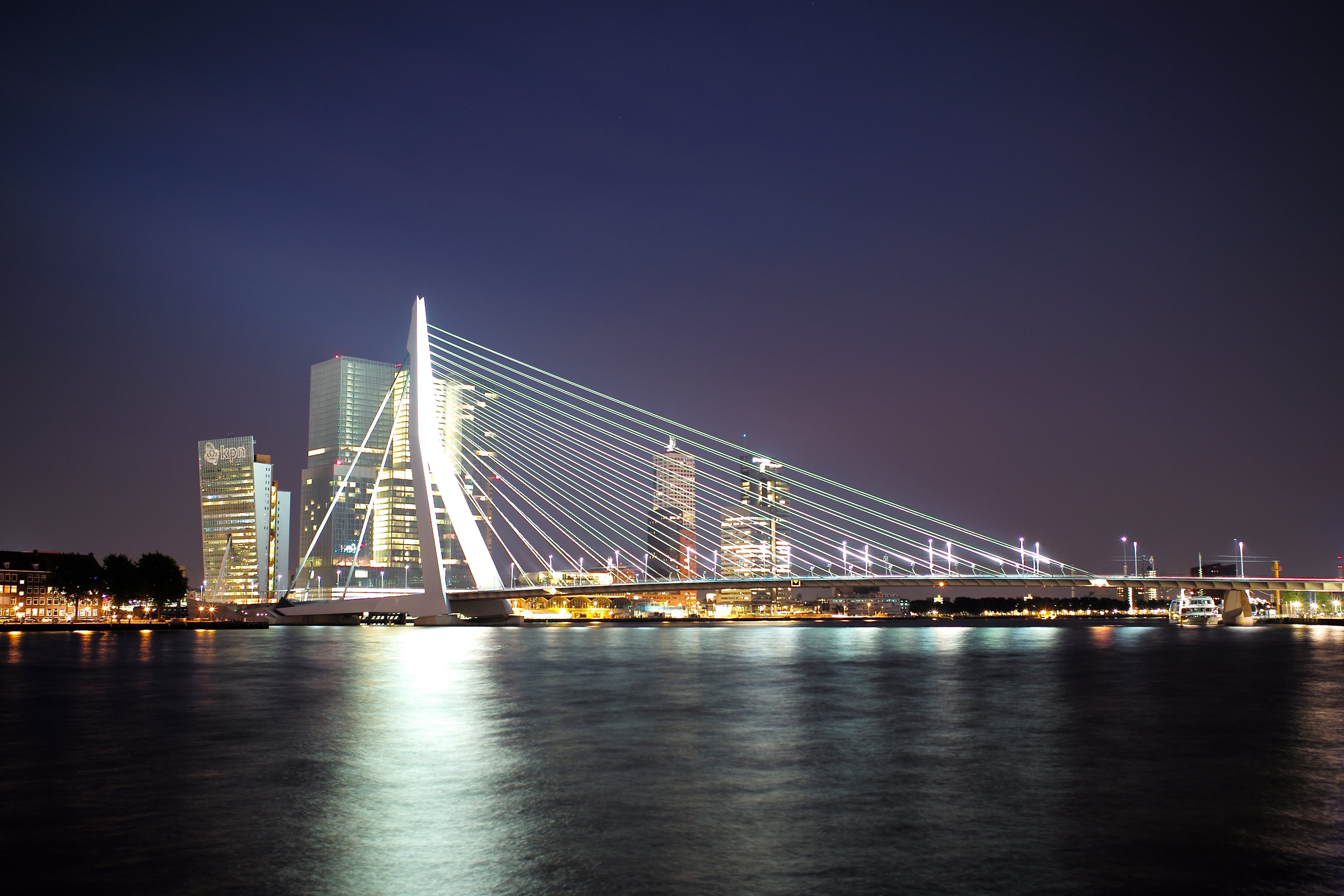 city-lights, night, structure, Rotterdam, urban Scene, 4K, m  240, white, Erasmus Bridge, sculpture, monument, art, nieuwe maas, swan, leica  m, cityscape, HD Wallpaper