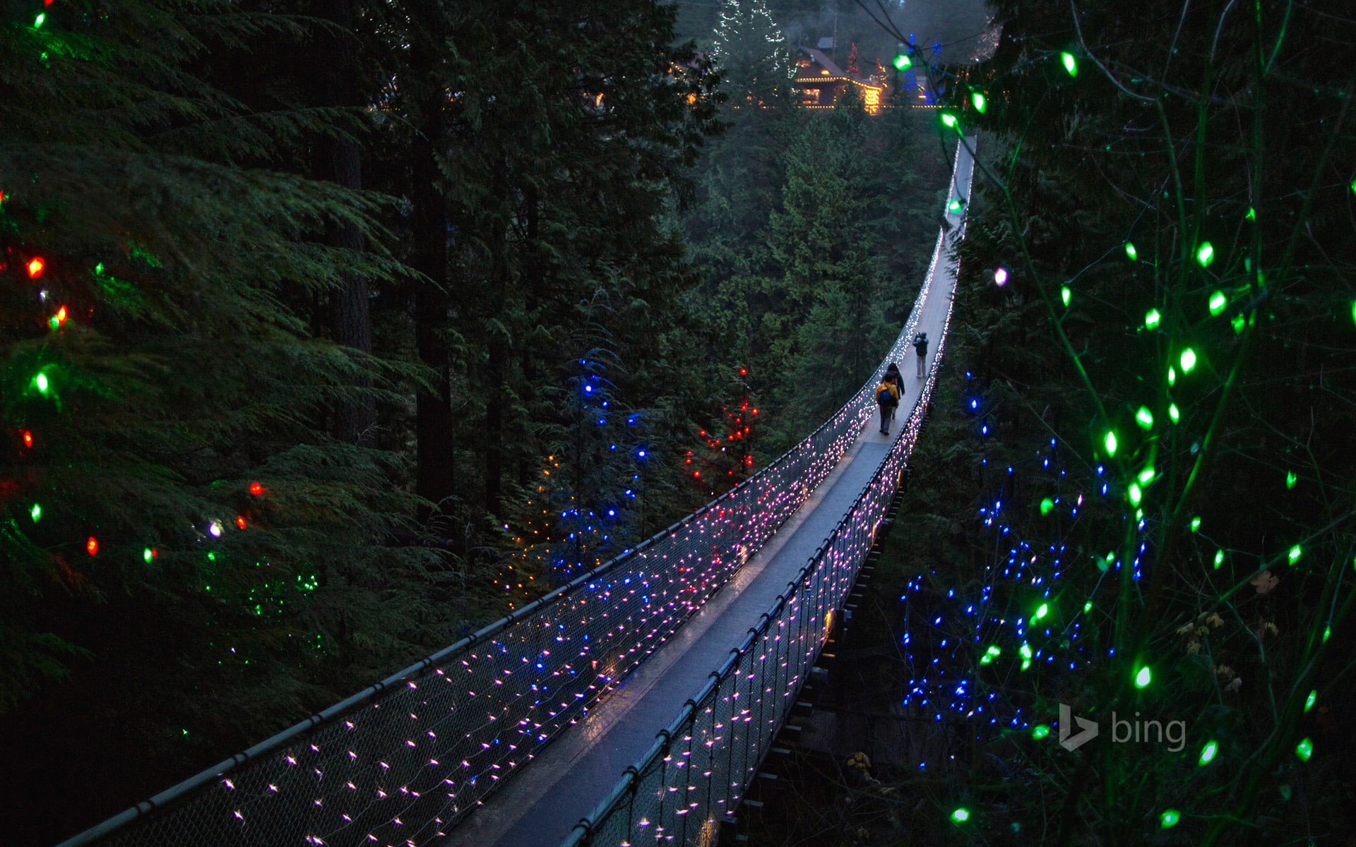 bridge, string, tree, outdoors, high angle view, 1080P, holiday, transportation, suspension bridge, illuminated, lighting equipment, North Vancouver, lights, HD Wallpaper