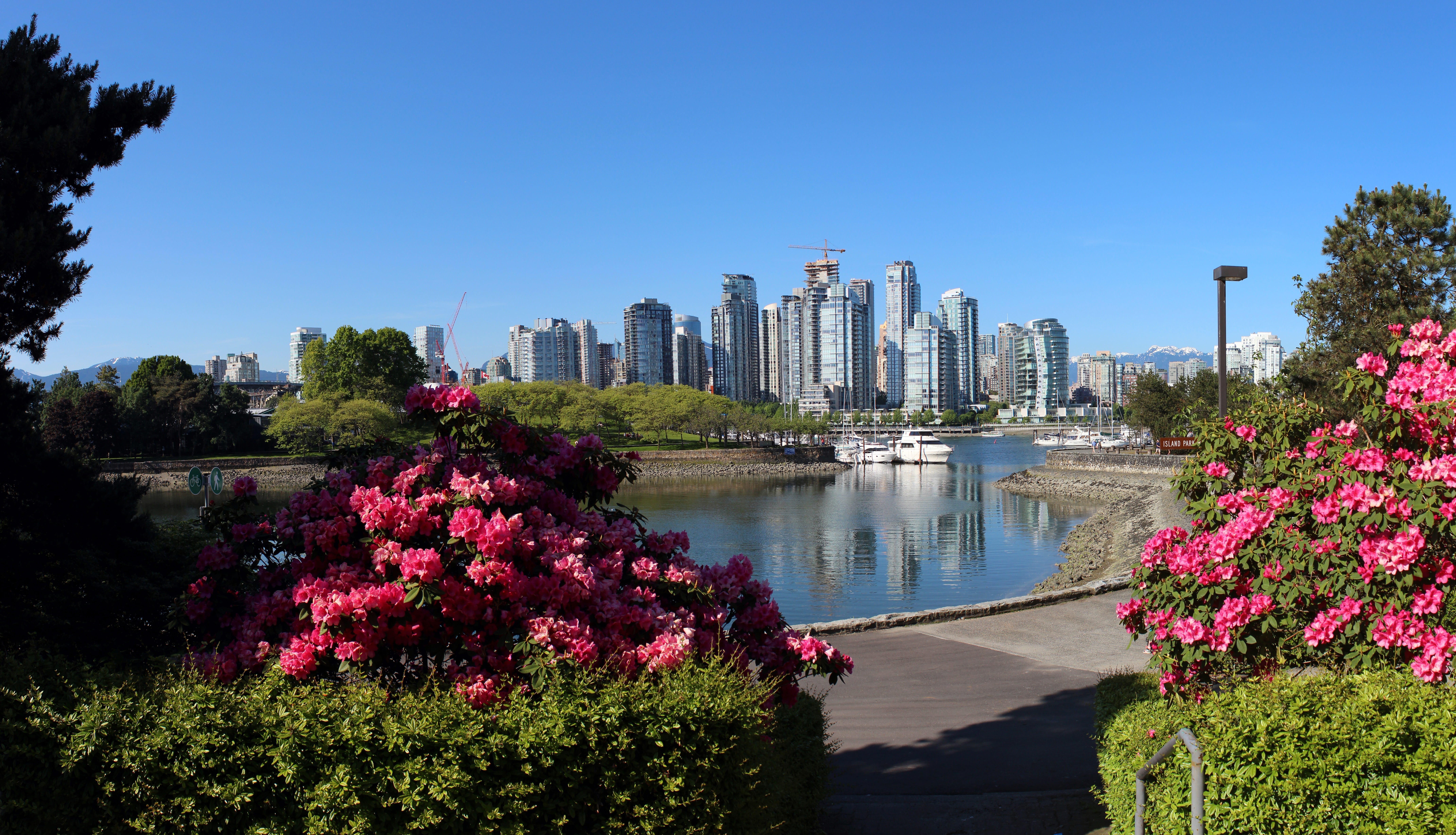 growth, summer, plant, city panorama, Vancouver, skyline, travel, outdoors, building exterior, beauty in nature, no people, lifestyle, british columbia, HD Wallpaper