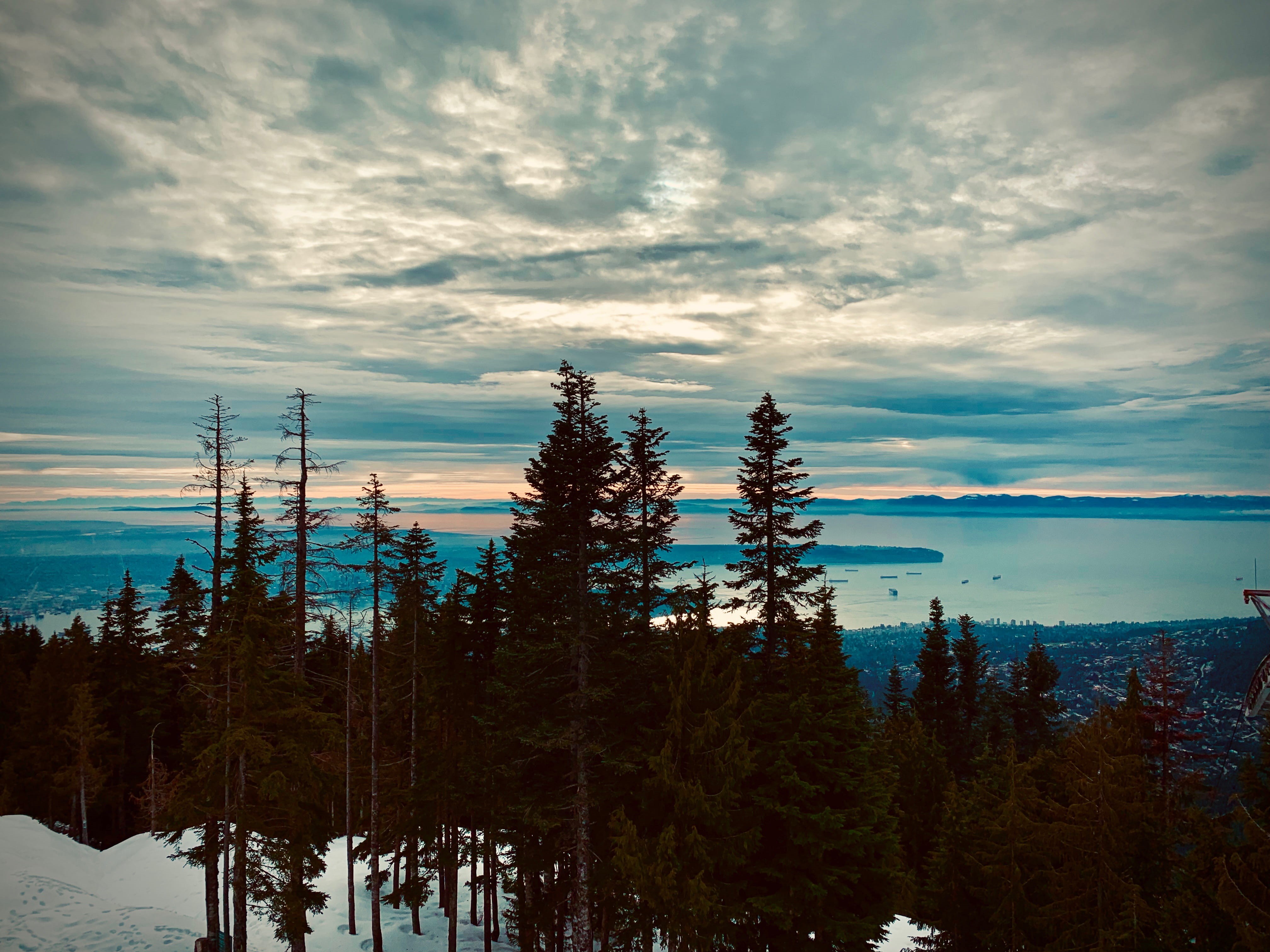 bay, beauty in nature, plant, water, tranquil scene, idyllic, conifer, trees, mountain, north vancouver, clound, fir, 4K, twilight, near, snow, pine, no people, HD Wallpaper