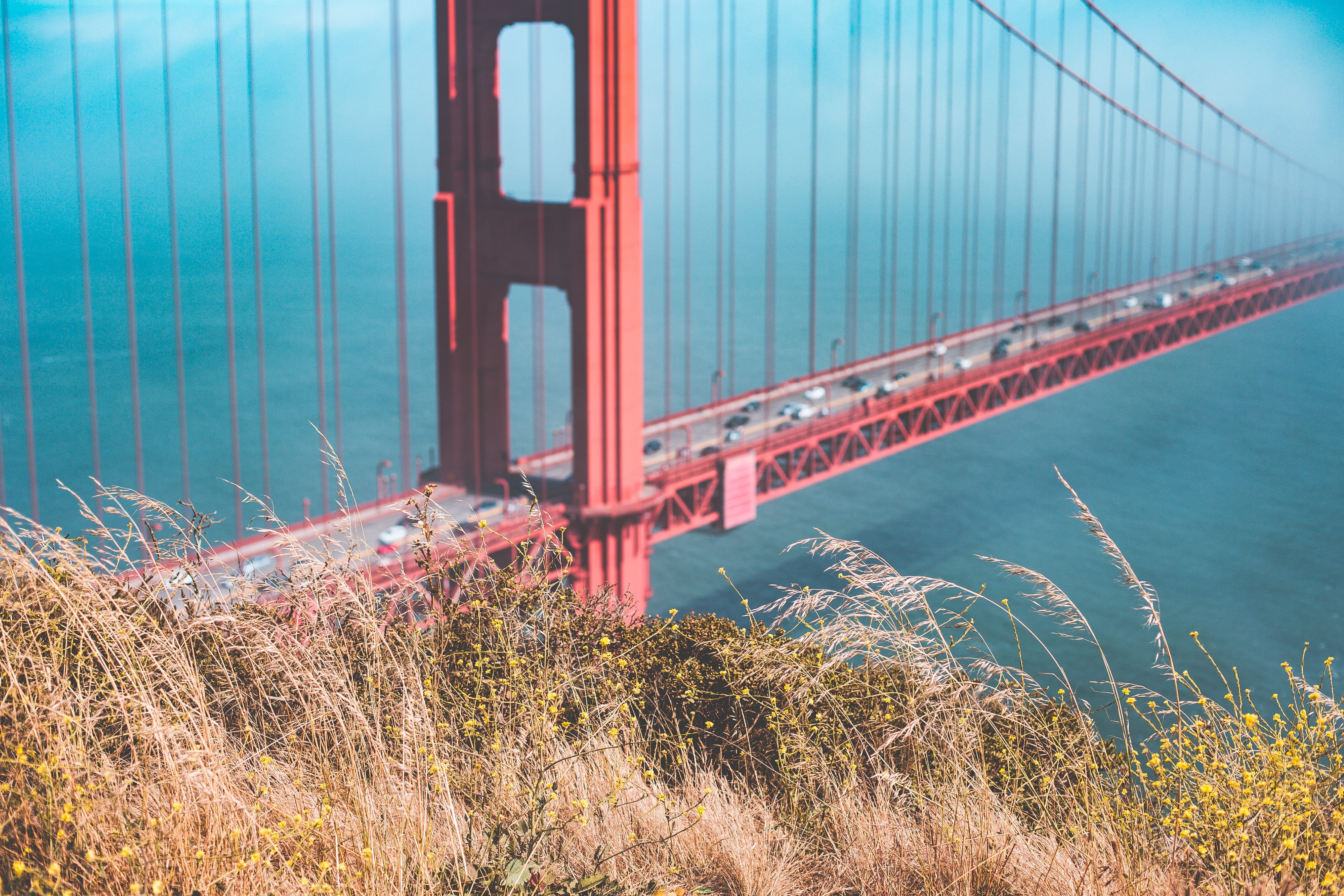 river, Golden Gate Bridge, blurred, architecture, plant, san francisco, marin County, san Francisco Bay Area, outdoors, ocean, Background, room for text, HD Wallpaper