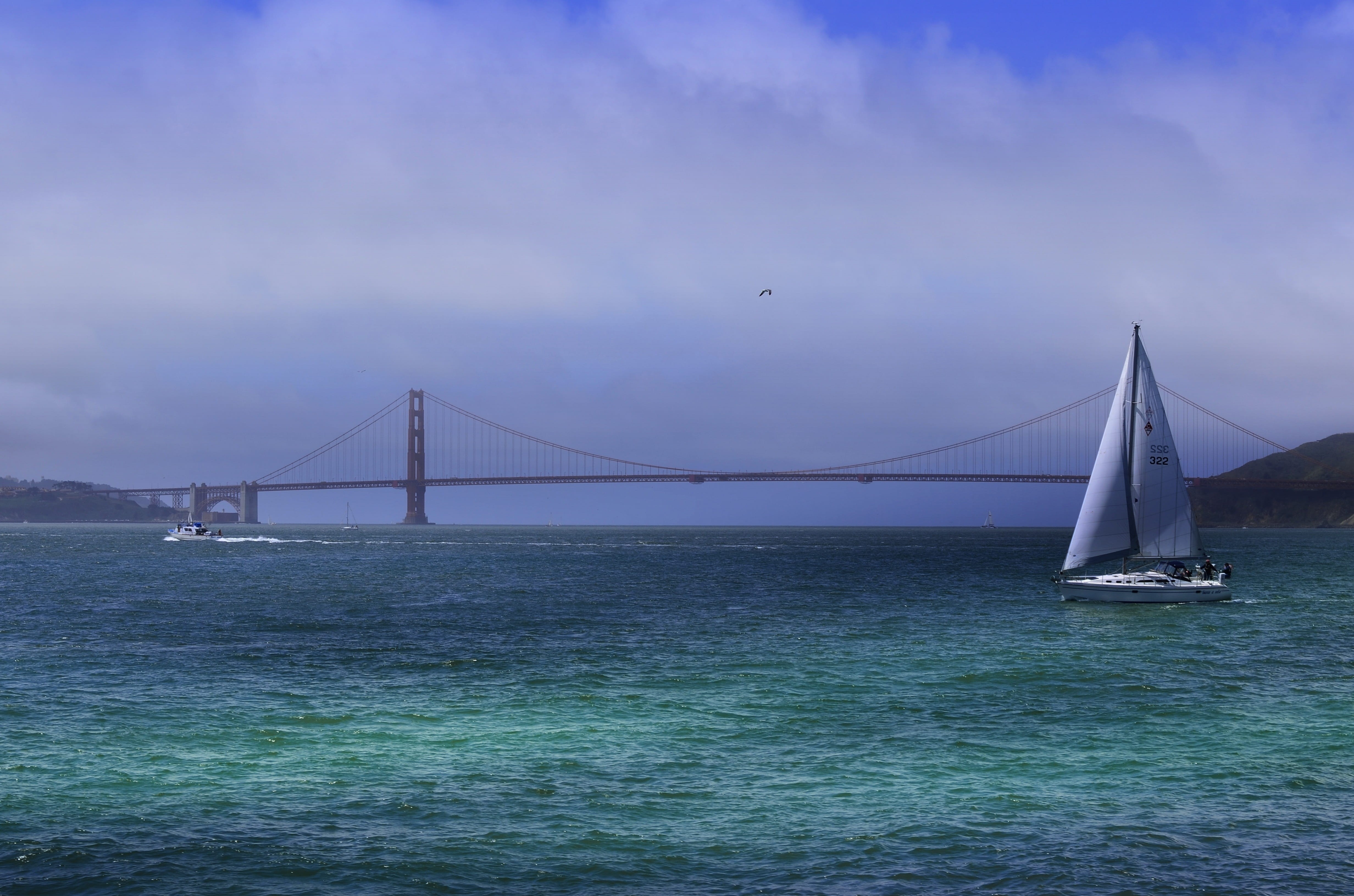 engineering, Bridge, francisco, tourist, built structure, fog, structure, bridge, mode of transportation, travel destinations, city, suspension bridge, HD Wallpaper