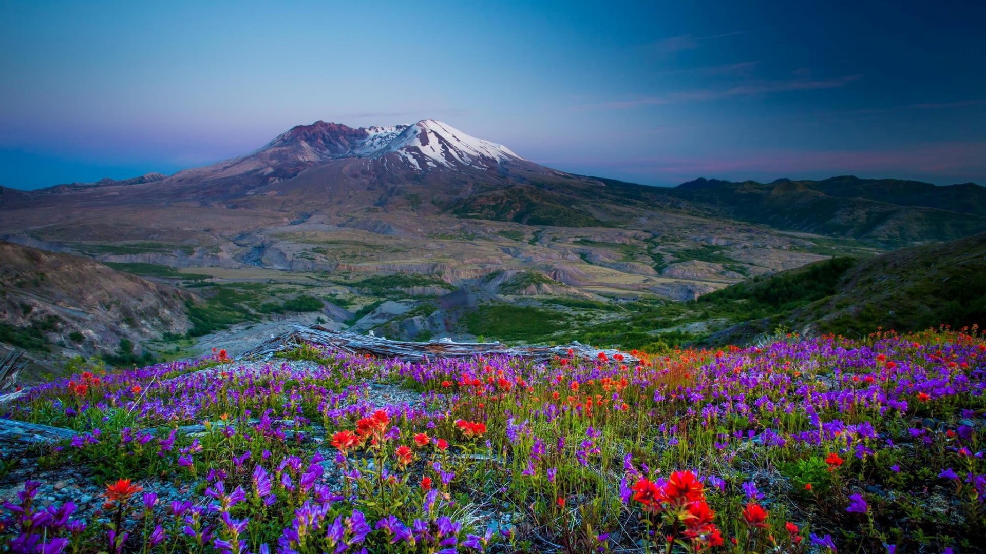 scenics - nature, hills, trees, no people, idyllic, peak, rural, landscape, field, remote, sky, rock, travel, flowering plant, land, environment, outdoors, HD Wallpaper
