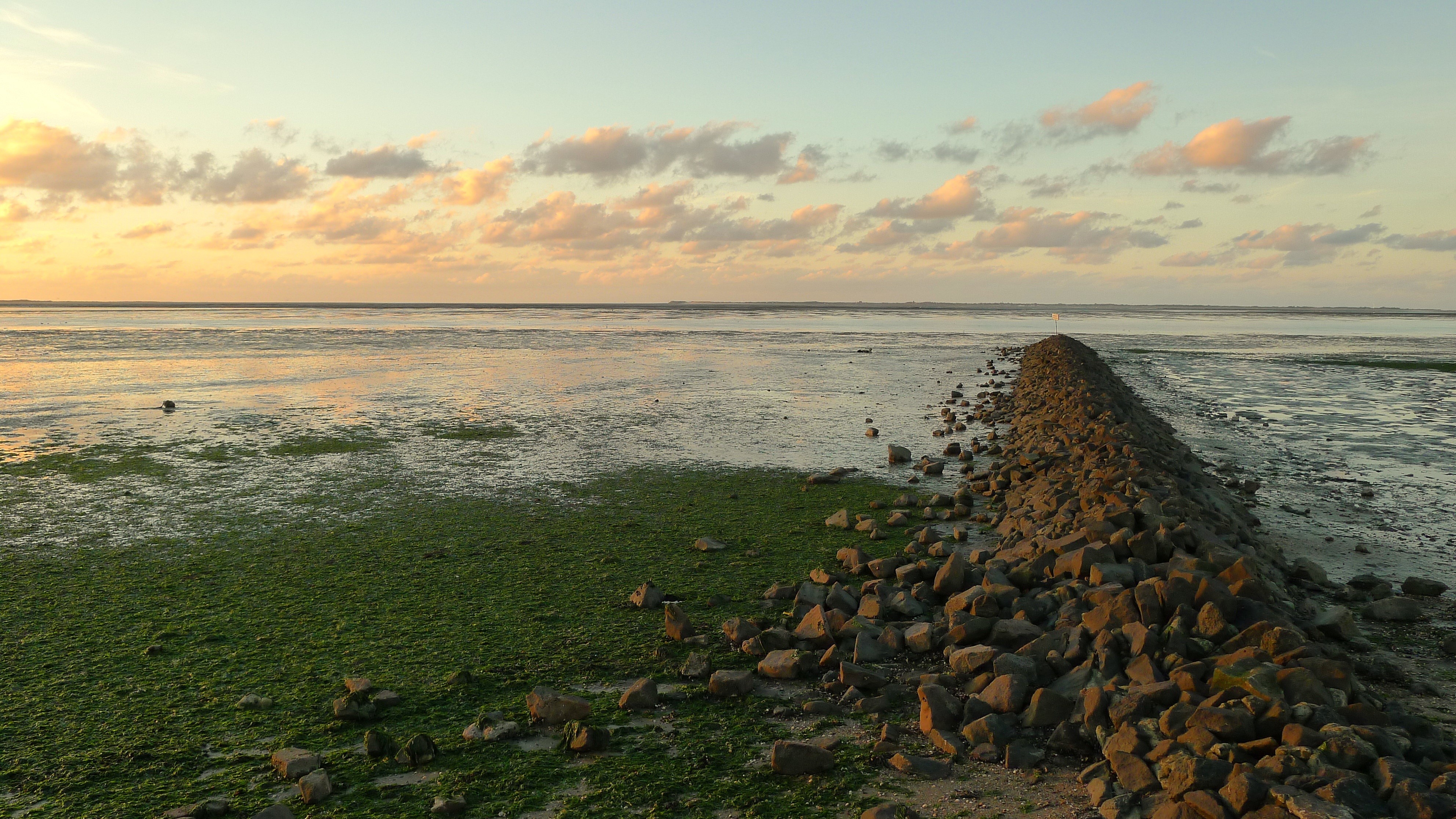 beach, horizon over water, wattenmeer, scenics - nature, tranquil scene, cloud - sky, sunset, beauty in nature, northern germany, 4K, neuharlingersiel, HD Wallpaper