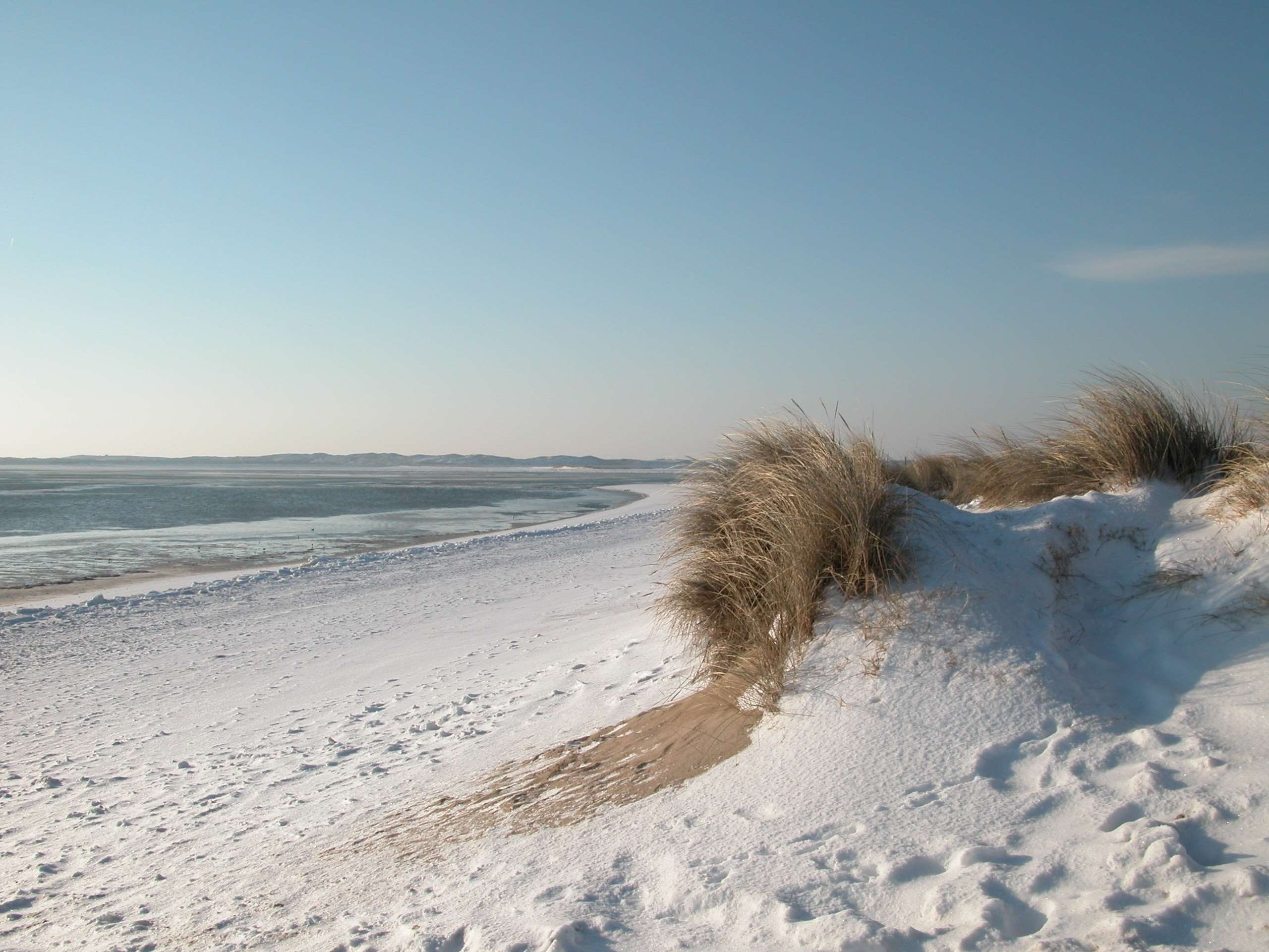 scenics - nature, land, norddeutschand, horizon over water, environment, nature, sand, snow, marram grass, north sea, sky, tranquil scene, horizon, 2K, HD Wallpaper