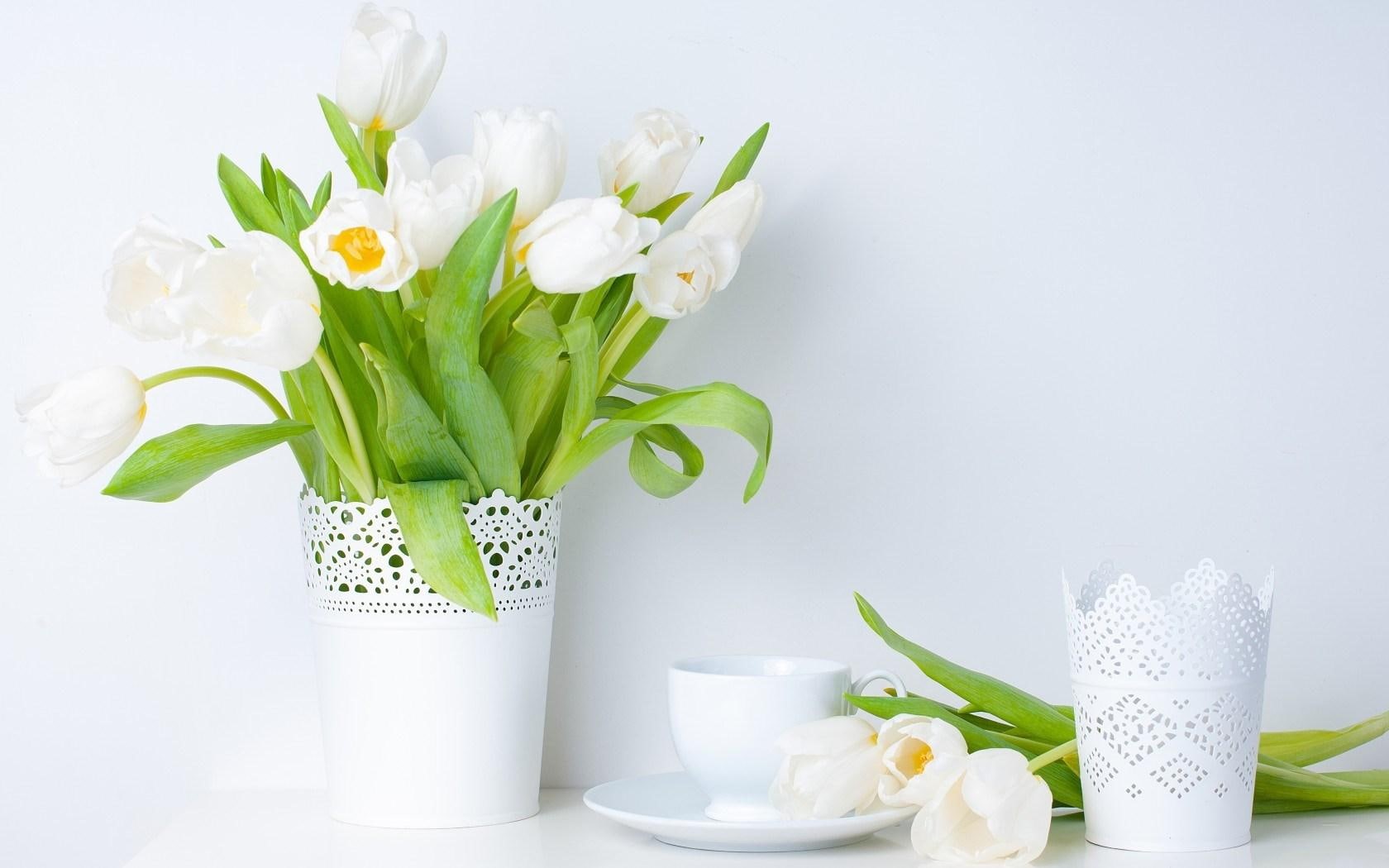 vase, spring, 720P, white, flowers, tulips, HD Wallpaper