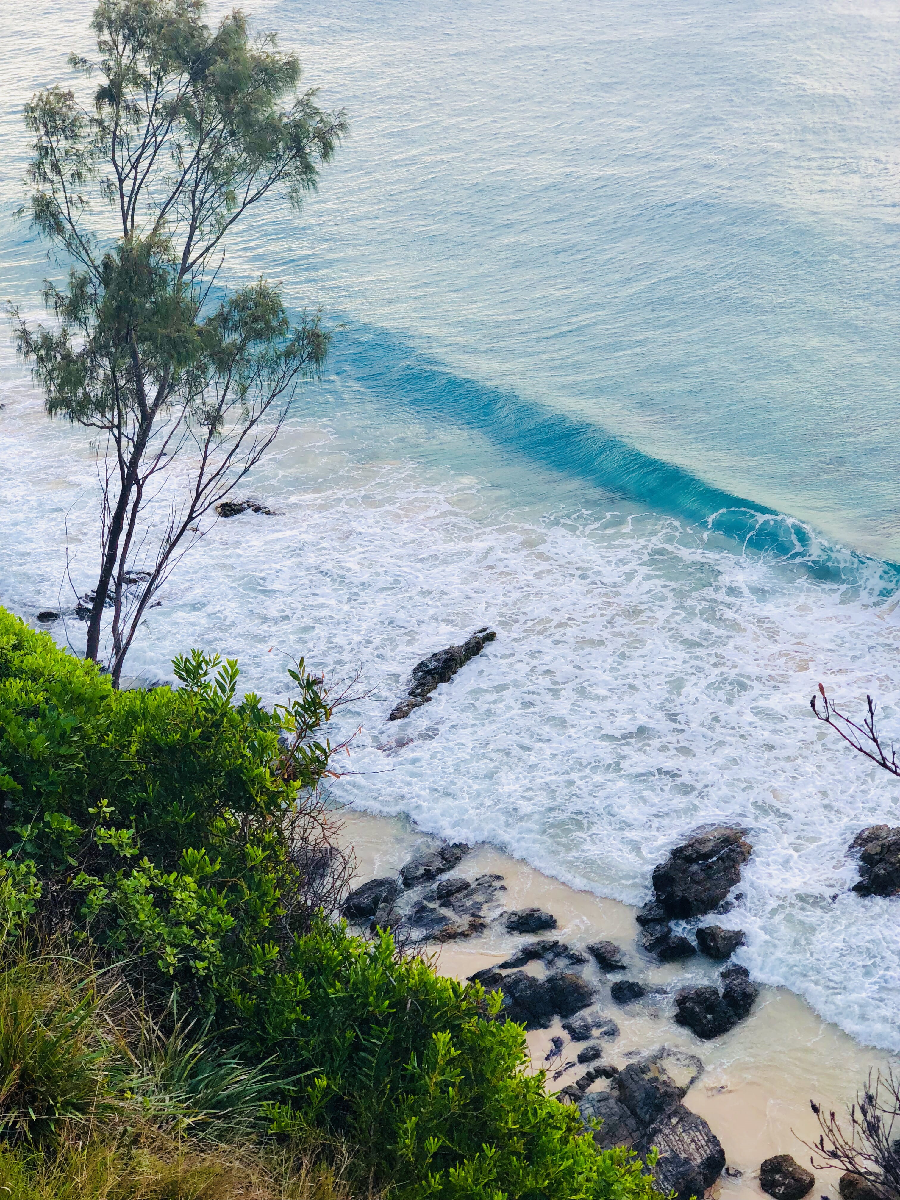rocky coastline, idyllic, 4K, outdoors, no people, high angle view, plant, nature, water, trail, byron bay, beach, tranquil scene, non-urban scene, beauty in nature, Phone HD Wallpaper