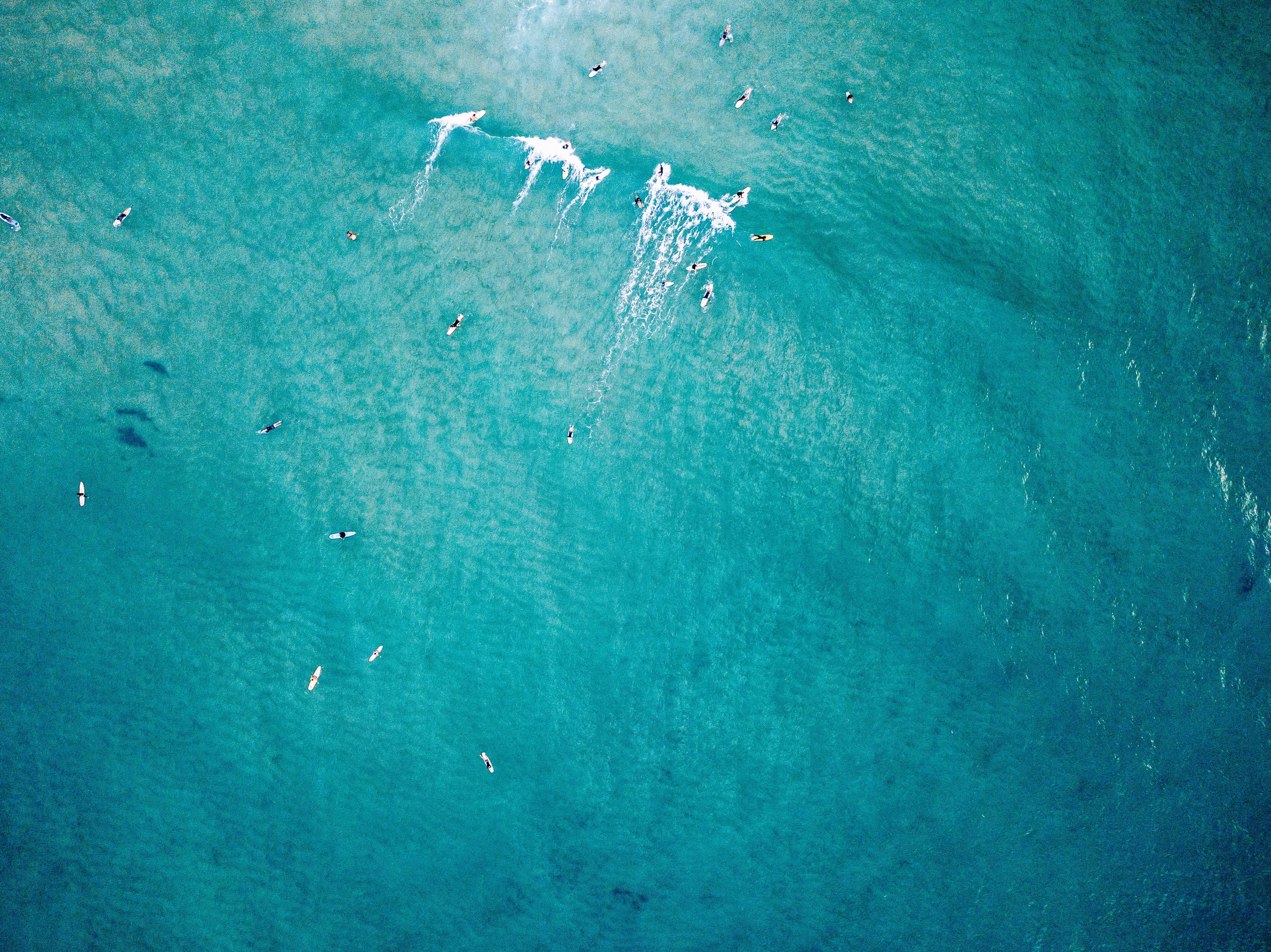 turquoise colored, beauty in nature, top, swimmer, view, waterfront, tranquil scene, outdoors, pacific, 4K, topdown, beach, teal, no people, watego beach, HD Wallpaper
