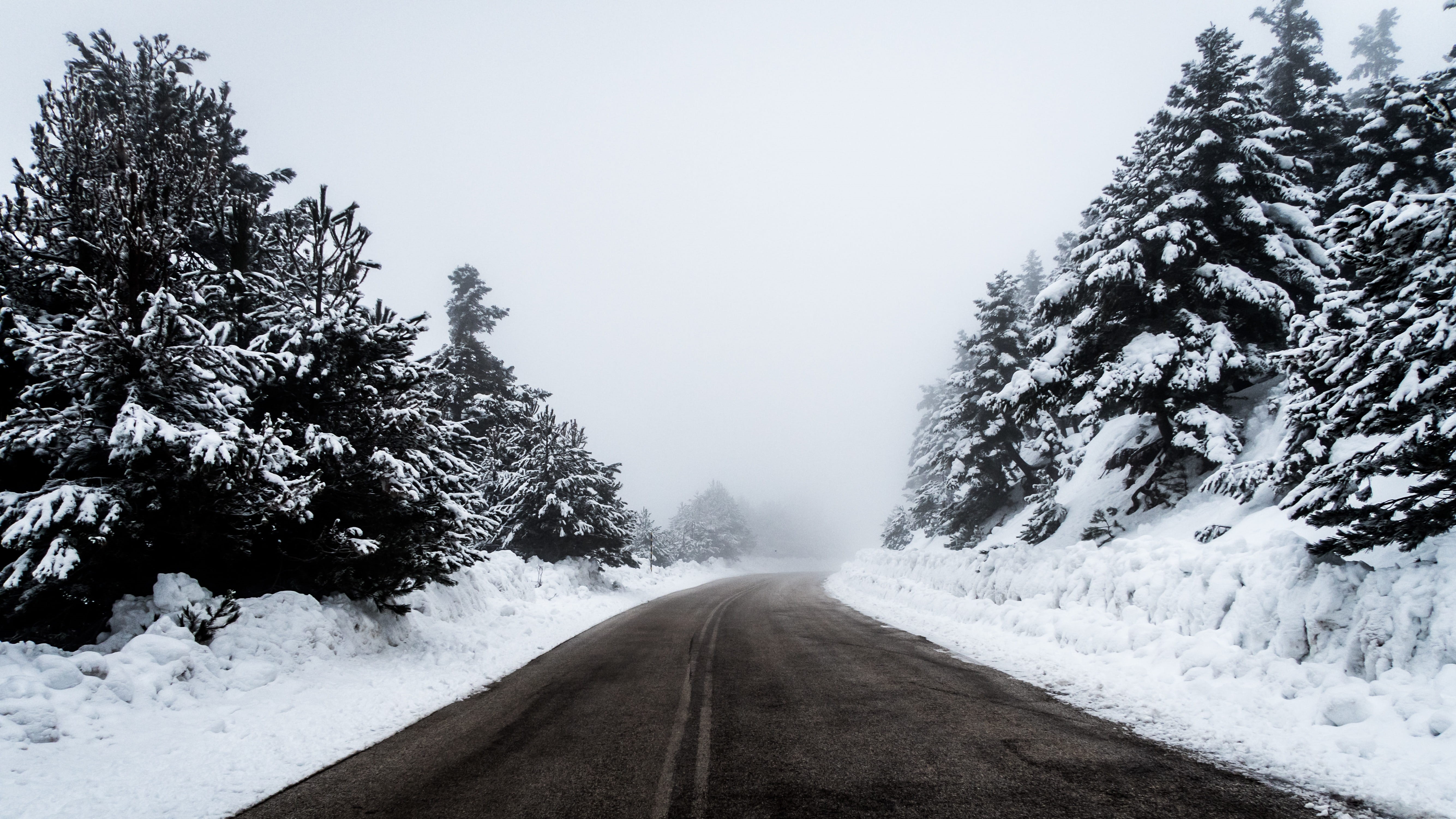 concrete road, fog, grayscale, nature, covered, tranquility, extreme weather, scenics - nature, treelined, landscape, cold temperature, road between, cold - Temperature, HD Wallpaper