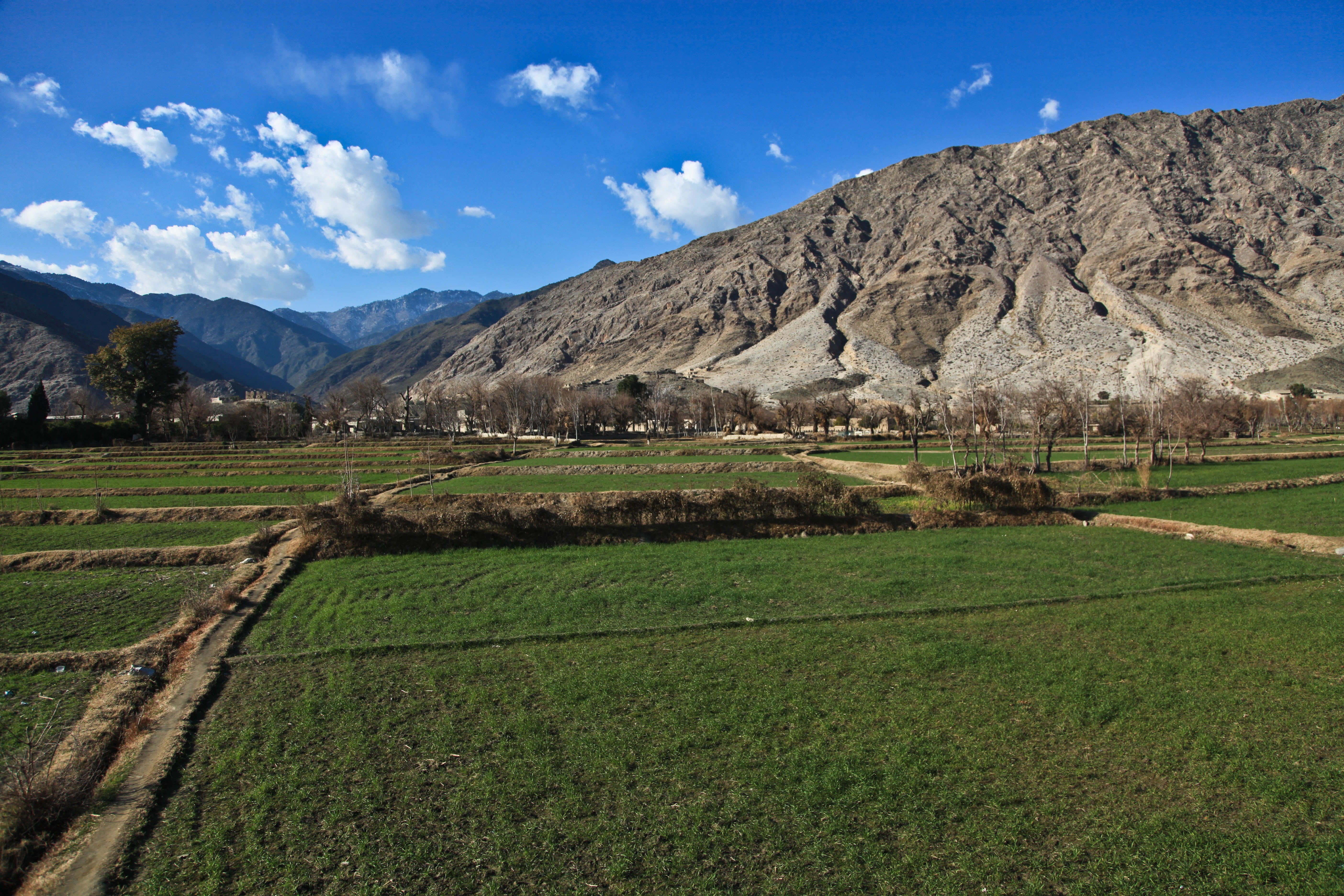 agriculture, tranquil, countryside, afghanistan, idyllic, mountain range, environment, blue, land, beauty in nature, sunny, landscape, field, country, scenery, HD Wallpaper