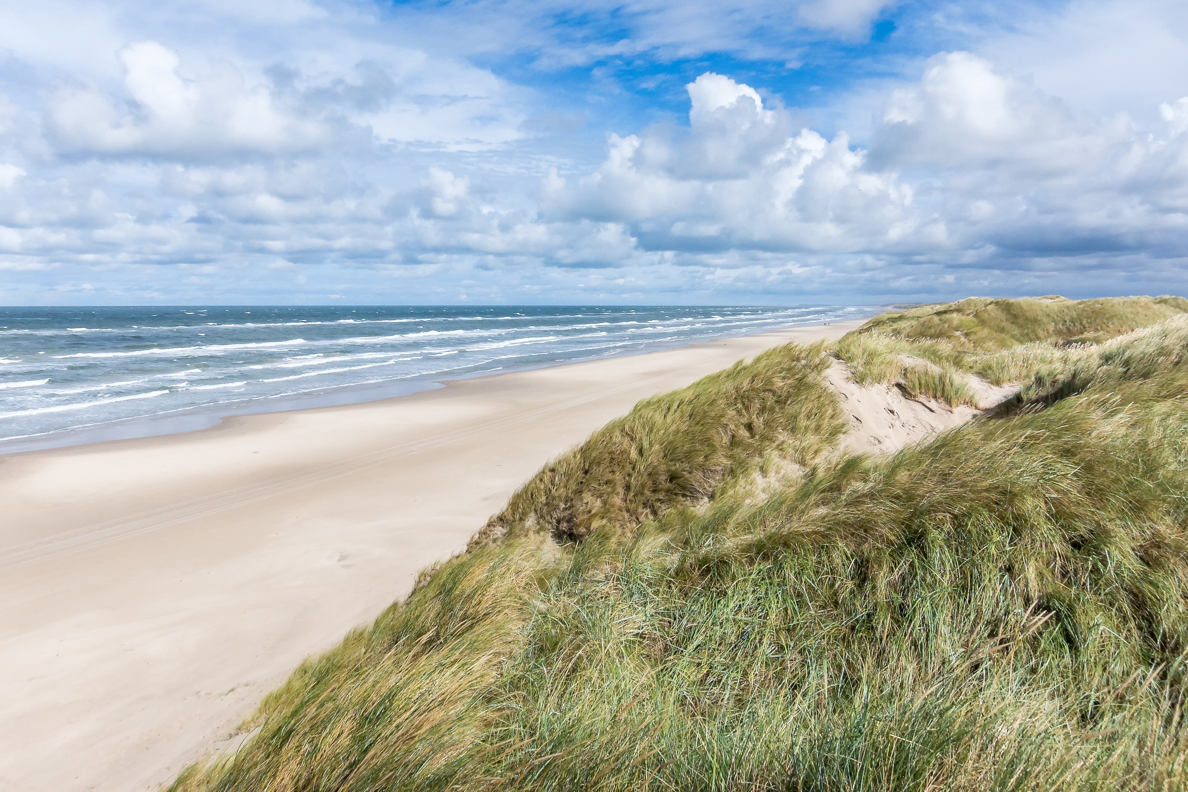 grass, no people, plant, dunes, jutland, danish coast landscape, nature, scenics - nature, dune landscape, tranquil scene, tranquility, sky, sand, north sea, HD Wallpaper