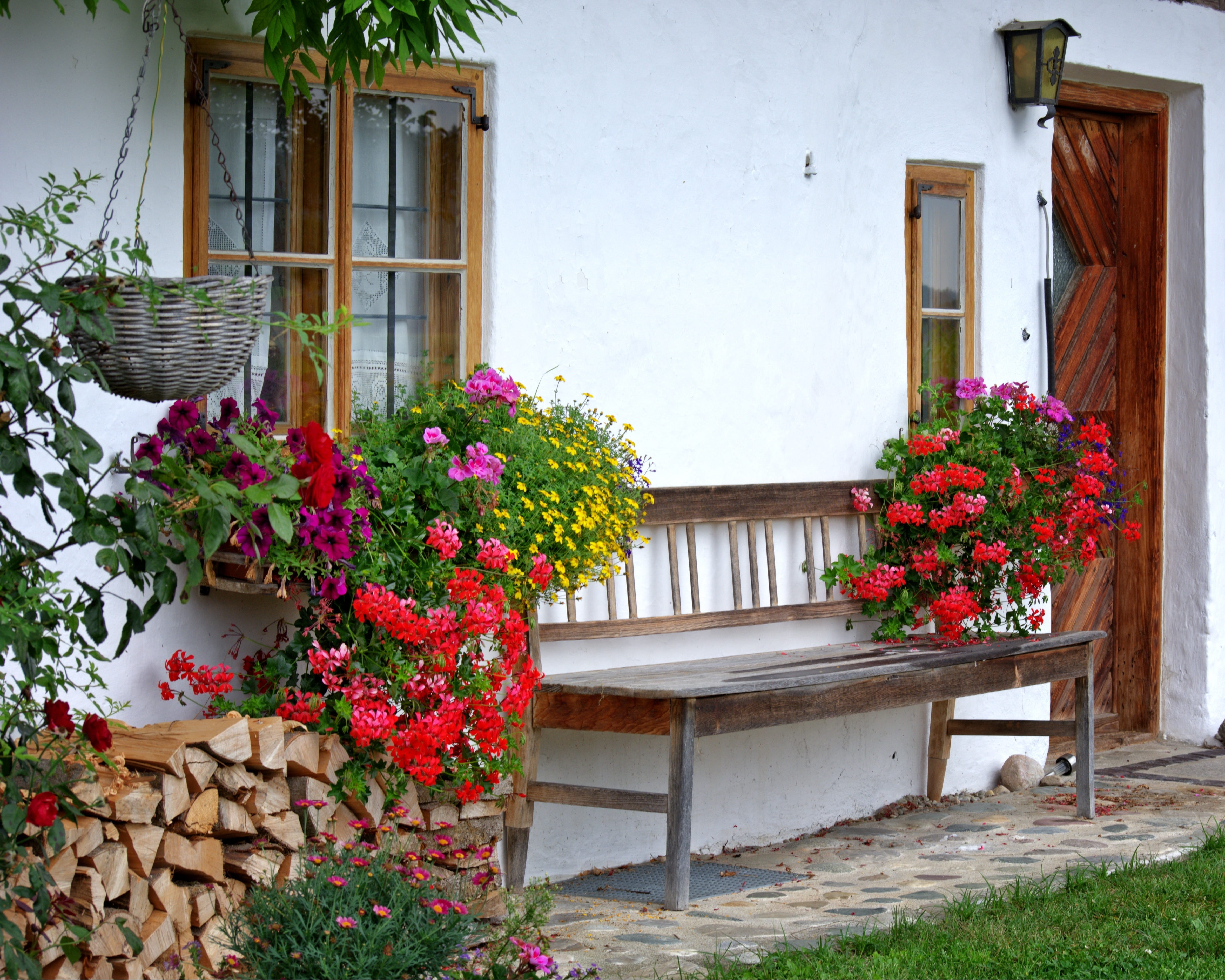 garden, input, day, out, front or Back Yard, nature, built structure, residential district, window, Bench, residential Building, building, outdoors, flowering plant, HD Wallpaper