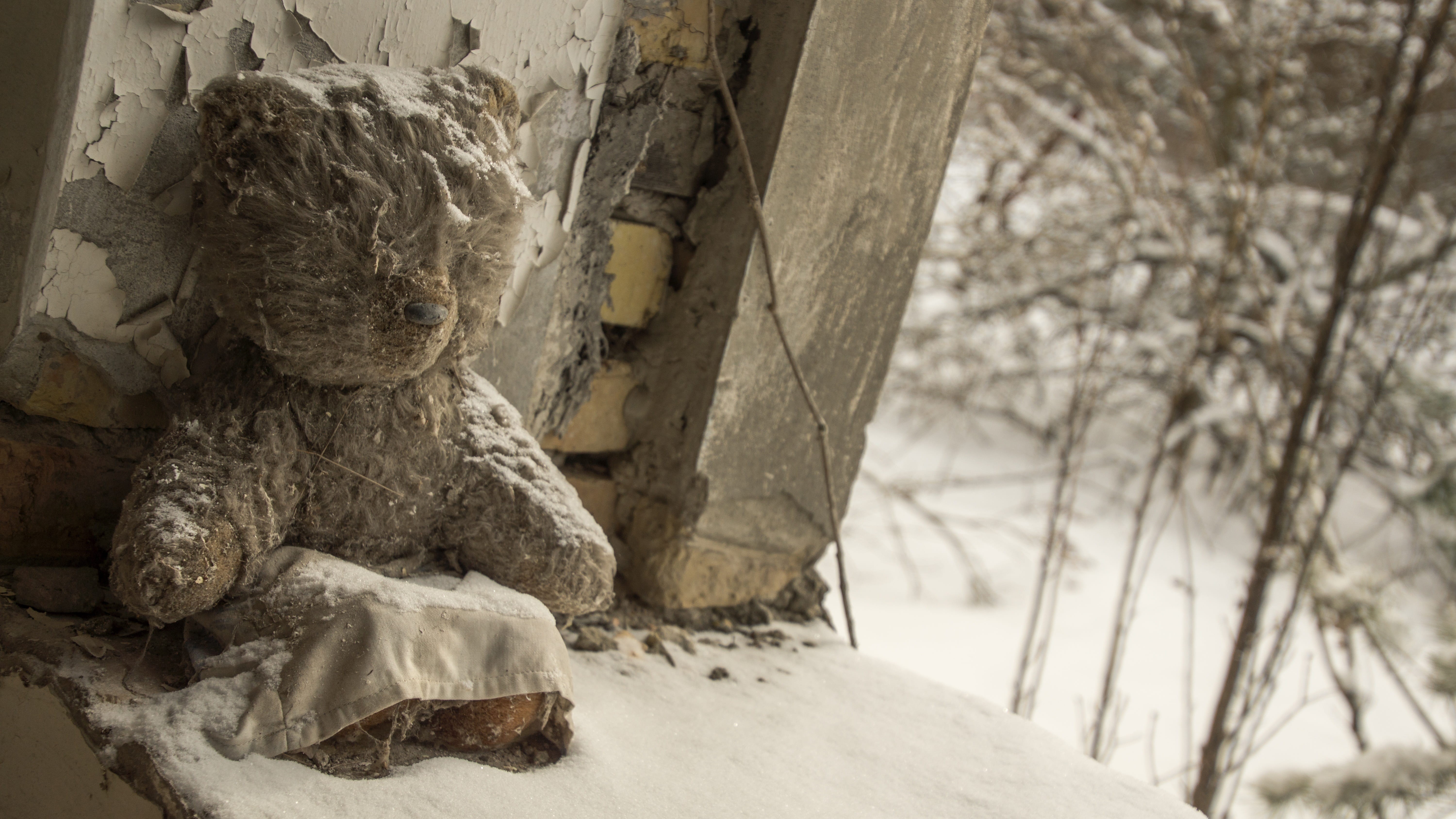 lost place, craft, close-up, representation, abandoned, pripyat, sitting, snow, outdoors, kindergarten, 5K, bear, childhood, exclusion zone, decay, toy, HD Wallpaper