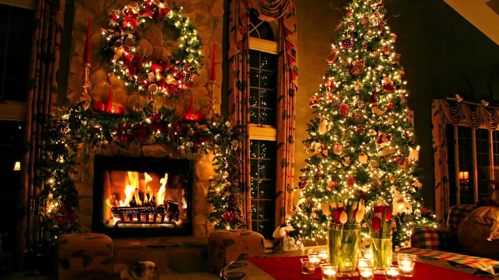illuminated, christmas tree, christmas decoration, night, no people, interior design, christmas, indoors, plant, christmas lights, event, livingroom, burning, HD Wallpaper