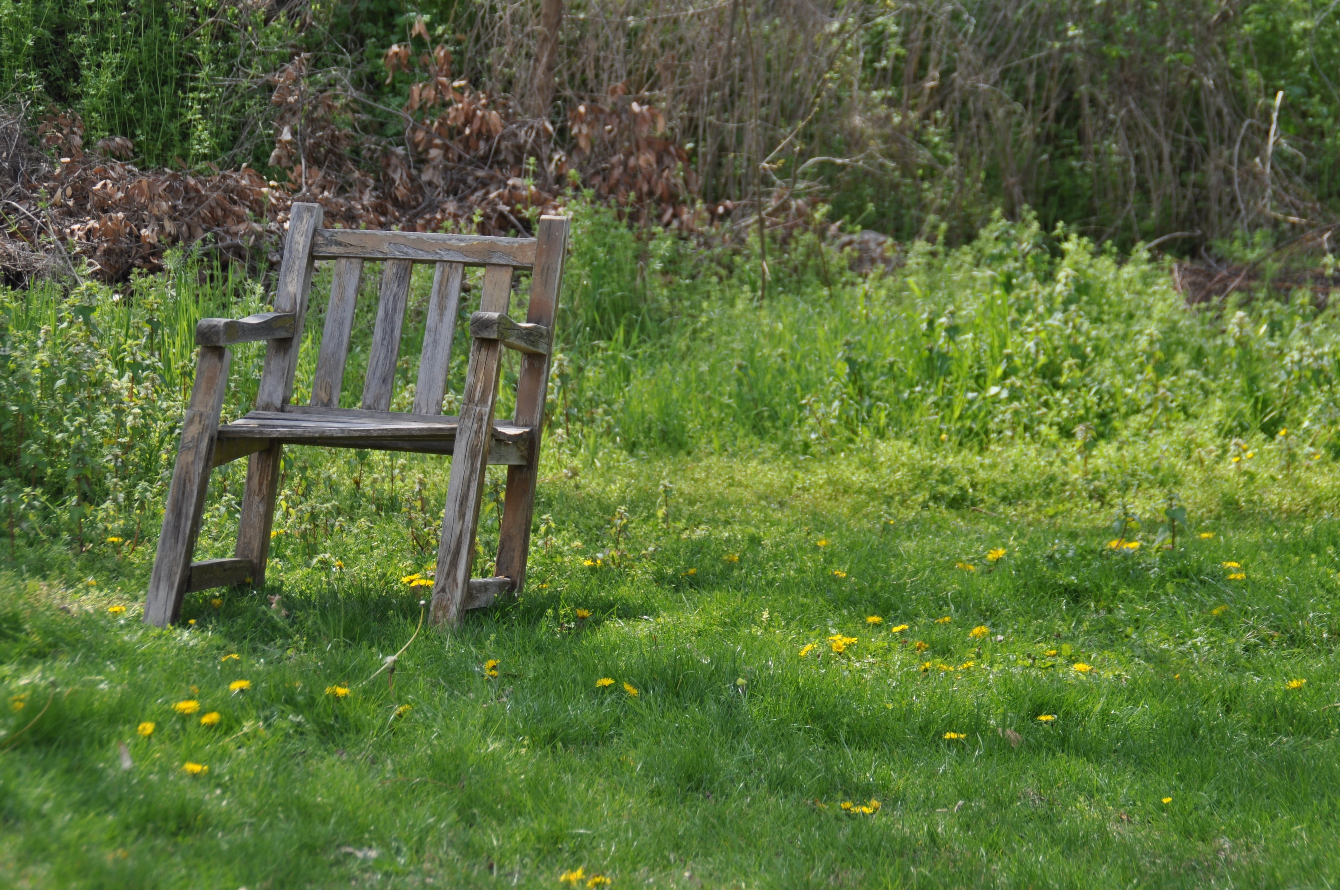 antique, old chair, park - Man Made Space, green, flower, outdoors, break, land, rest, recovery, 4K, day, chair, no people, simplicity, inviting, bench, HD Wallpaper