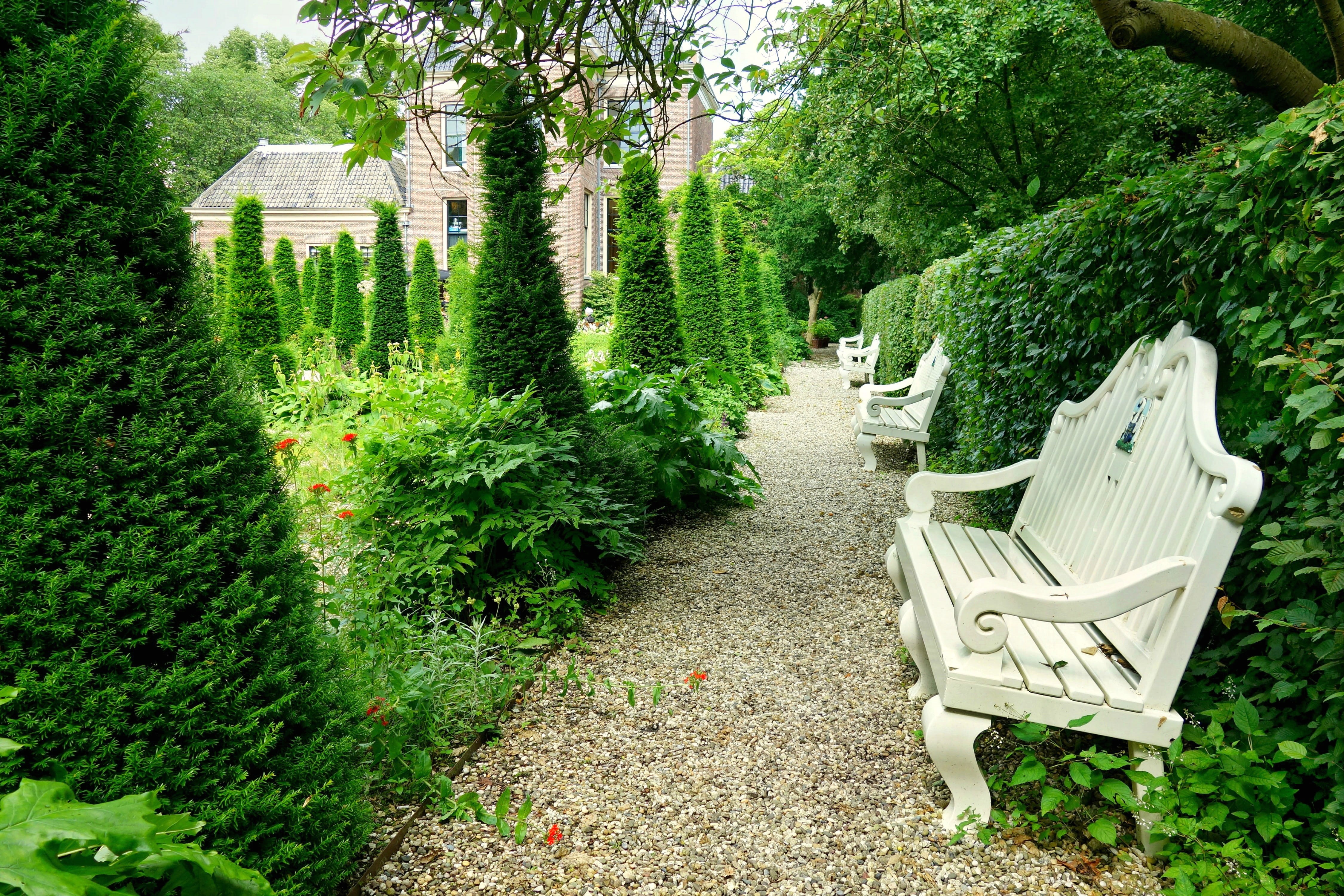 built structure, beside, 4K, park - Man Made Space, architecture, nature, no People, 17th century, flowerbed, sitting, direction, outdoors, garden, tree, HD Wallpaper