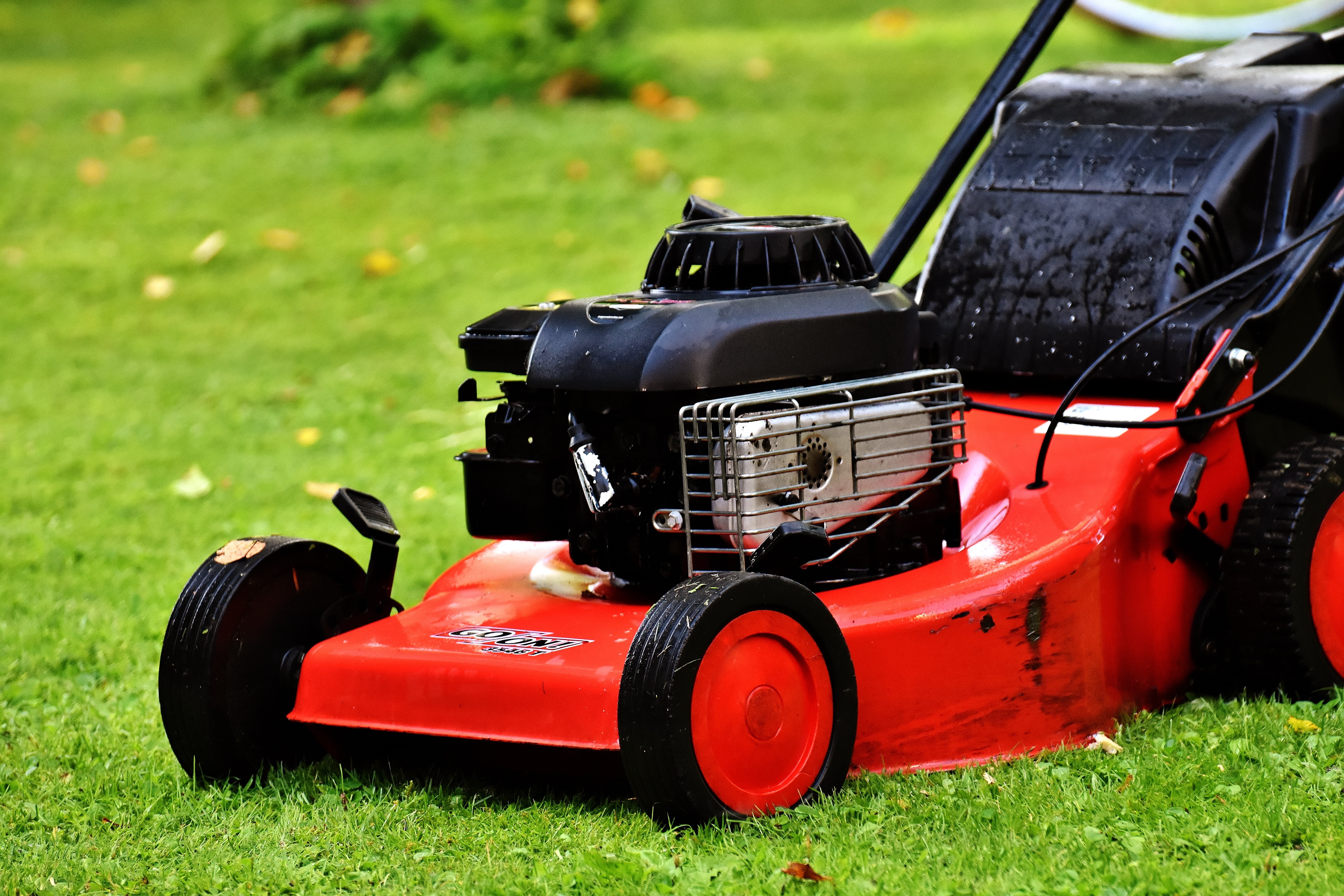 growth, no people, car, outdoors, cut, lawn mower, gardening, mow, green, grass box, machinery, field, lawn, gardening equipment, push, grass, land vehicle, HD Wallpaper