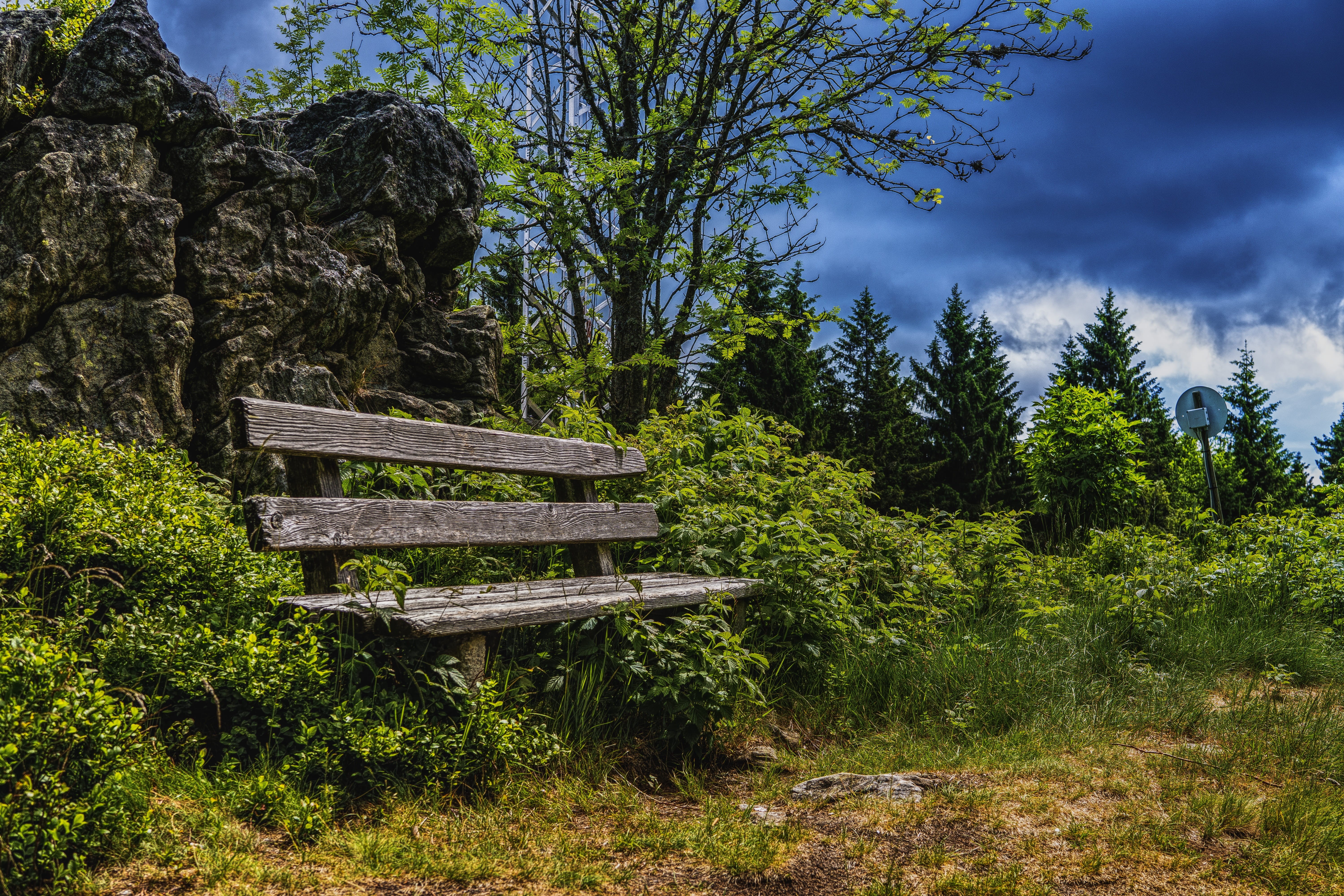 landscape, wooden, bench, trees, outdoors, clouds, forest, wooden bench, old, overgrown, old bench, no People, beauty in nature, park, wood, park bench, HD Wallpaper