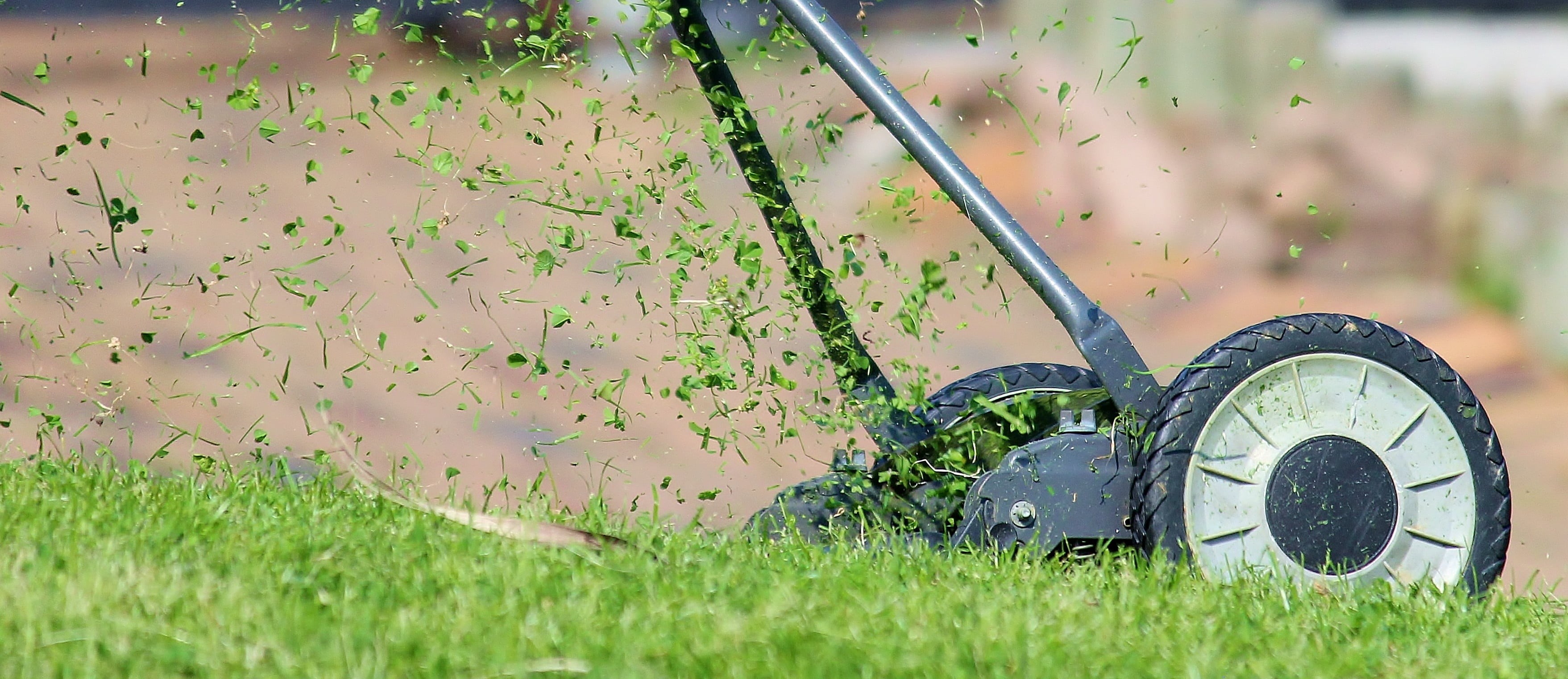 grass box, mow, meadow, grasses, sport, fly, mode of transportation, transportation, day, halme, grass, manual operation, gardening equipment, golf, hand lawn mower, HD Wallpaper