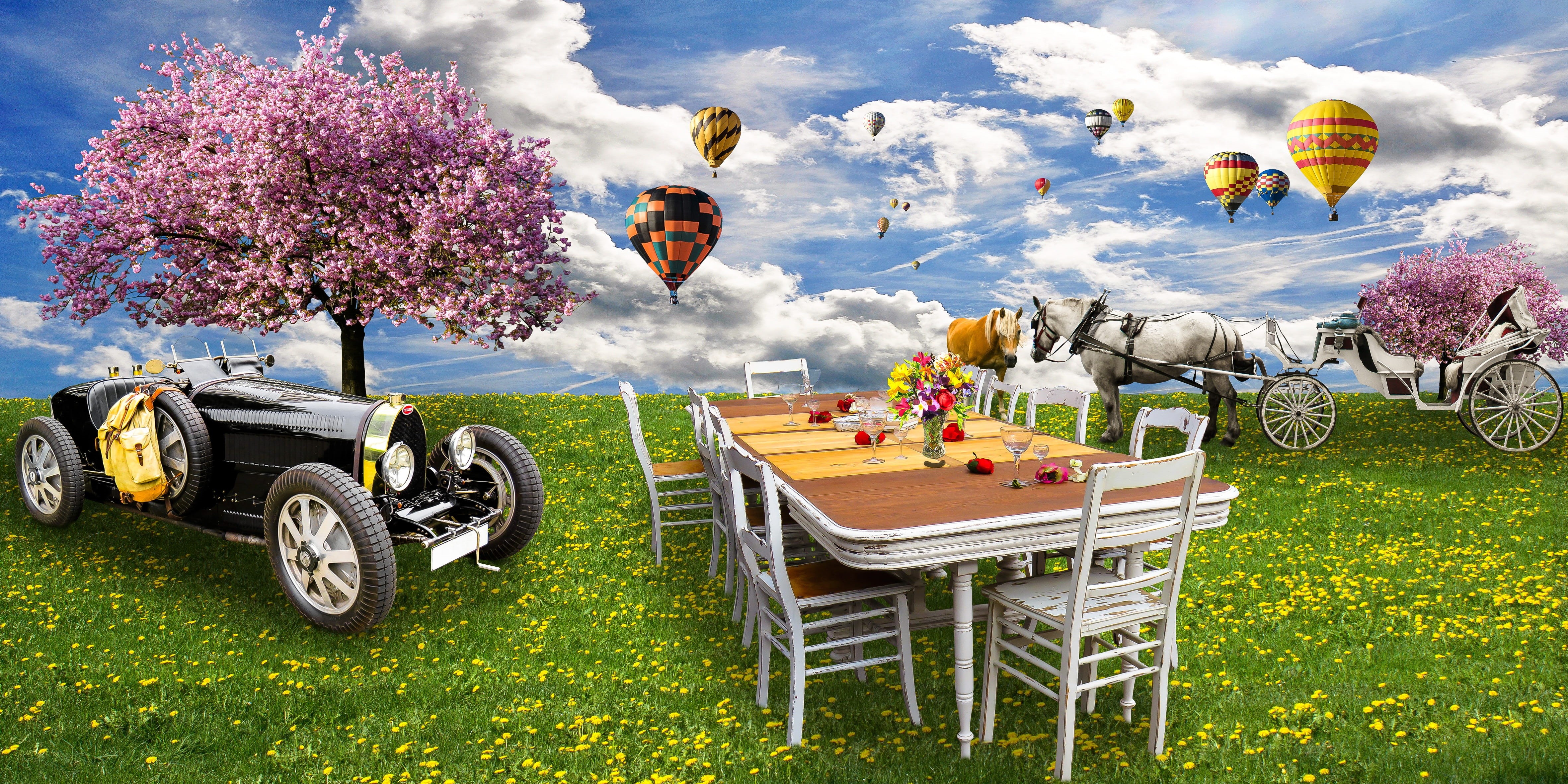 balloon, bloom, dandelion, rose, coach, field, outdoors, celebration, plant, party, beauty in nature, cloud - sky, mode of transportation, cherry tree, HD Wallpaper