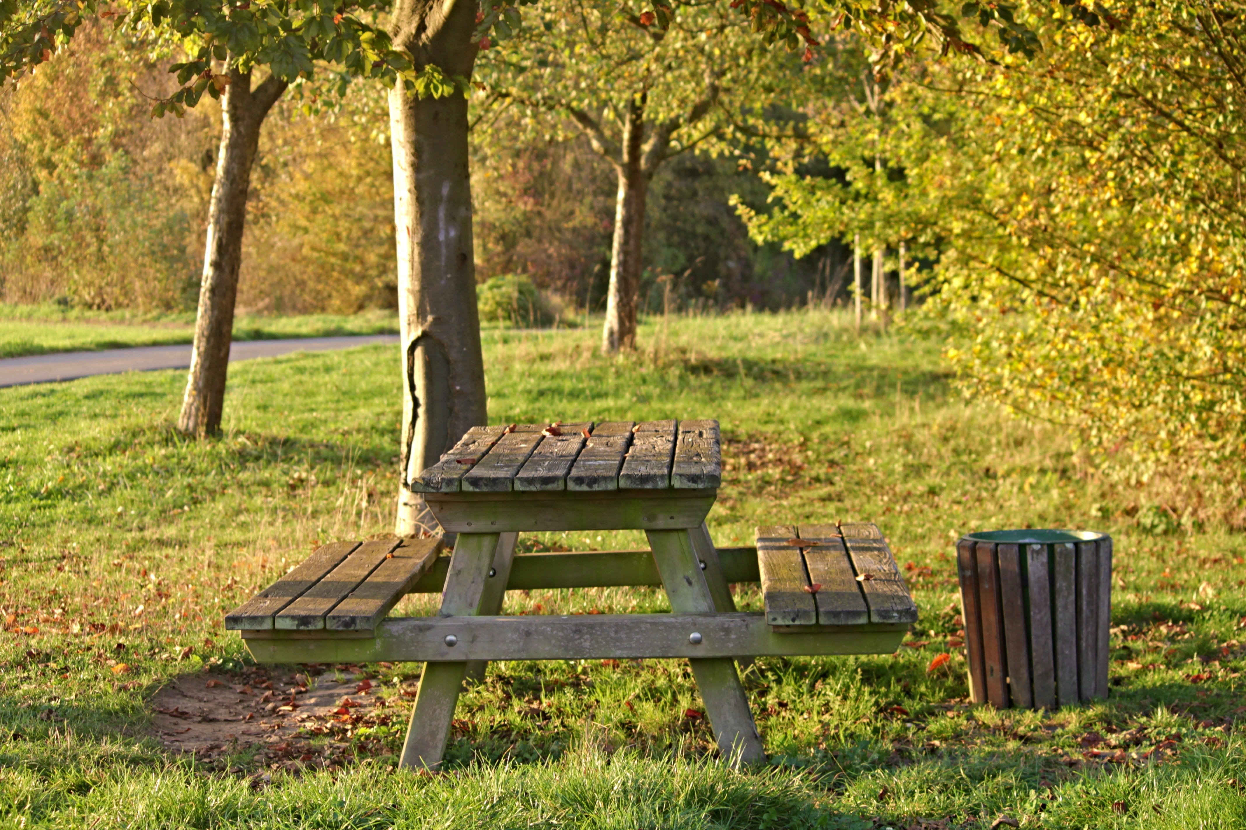 seat, sit, sunlight, no people, forest, wooden, nature, bench, wooden slats, land, picnic, wood, brown, green color, tree trunk, tranquility, idyll, rest area bank, HD Wallpaper