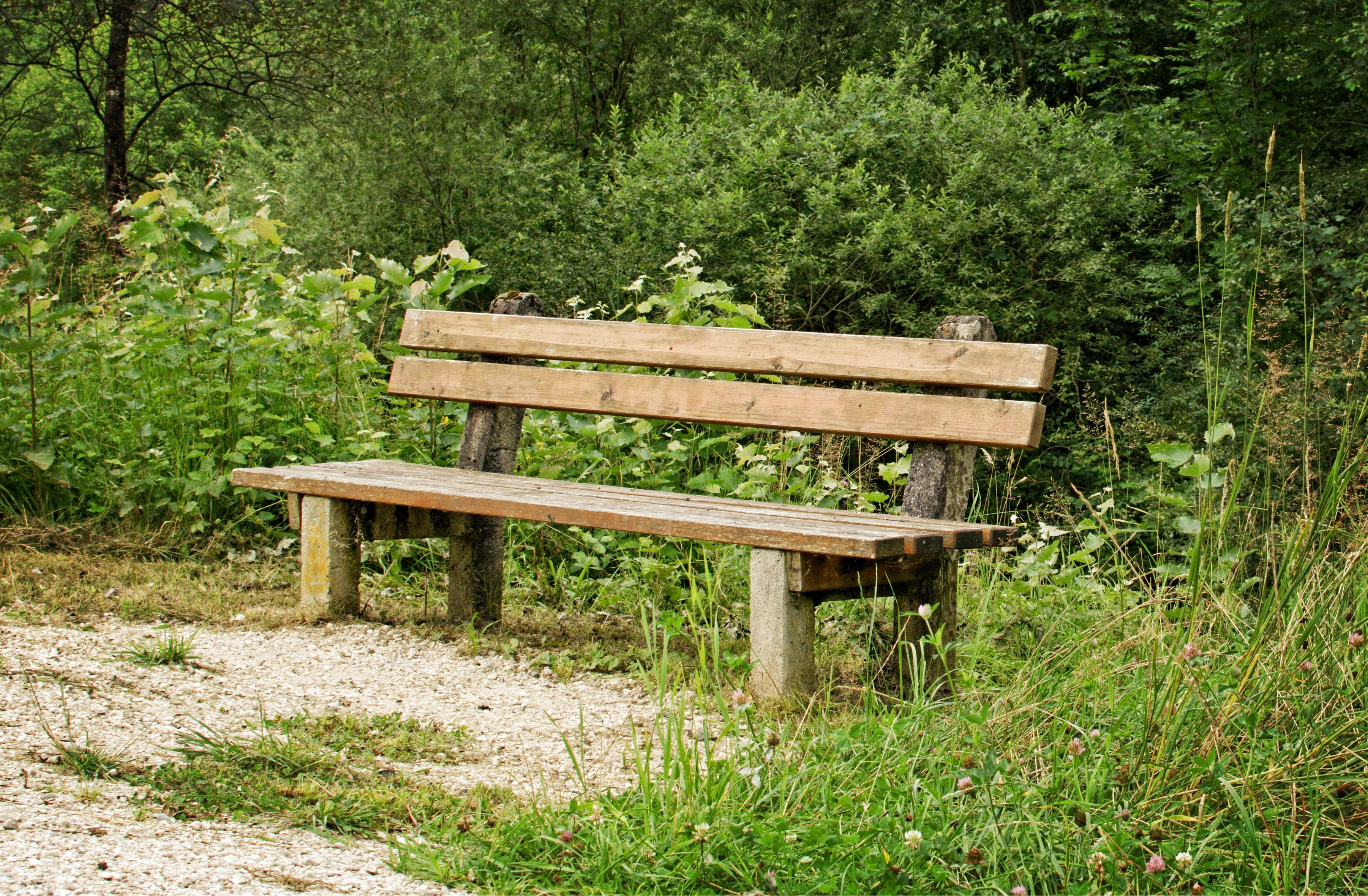 wood - Material, land, tranquility, wood, absence, grass, plant, nature, green Color, outdoors, table, tree, day, bench, recovery, sit, rest, no people, HD Wallpaper