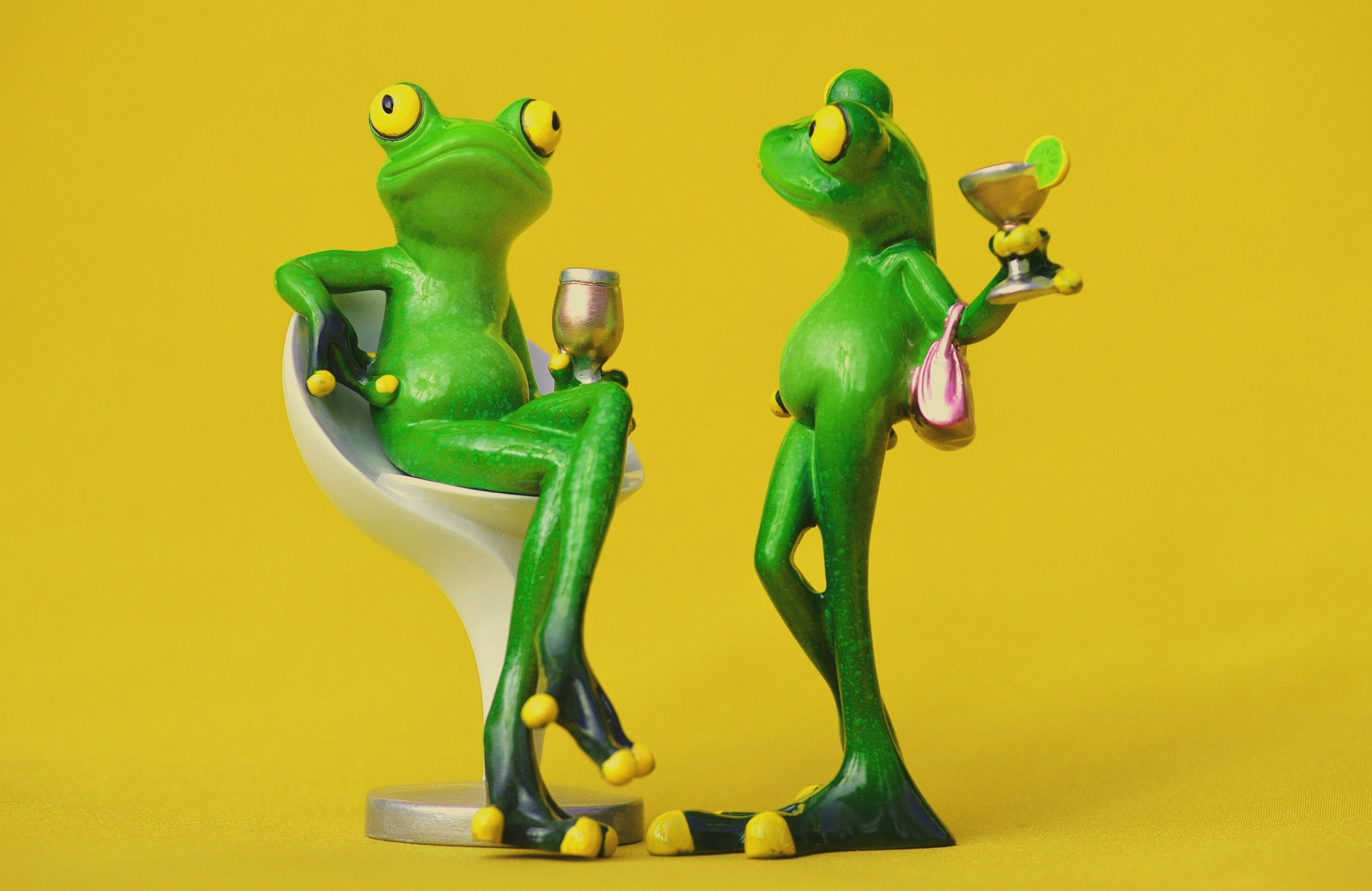 furniture, indoors, chair, funny, sweet, colored background, relax, toy, drink, studio shot, rest, green color, mammal, creativity, figurine, yellow, frog, HD Wallpaper