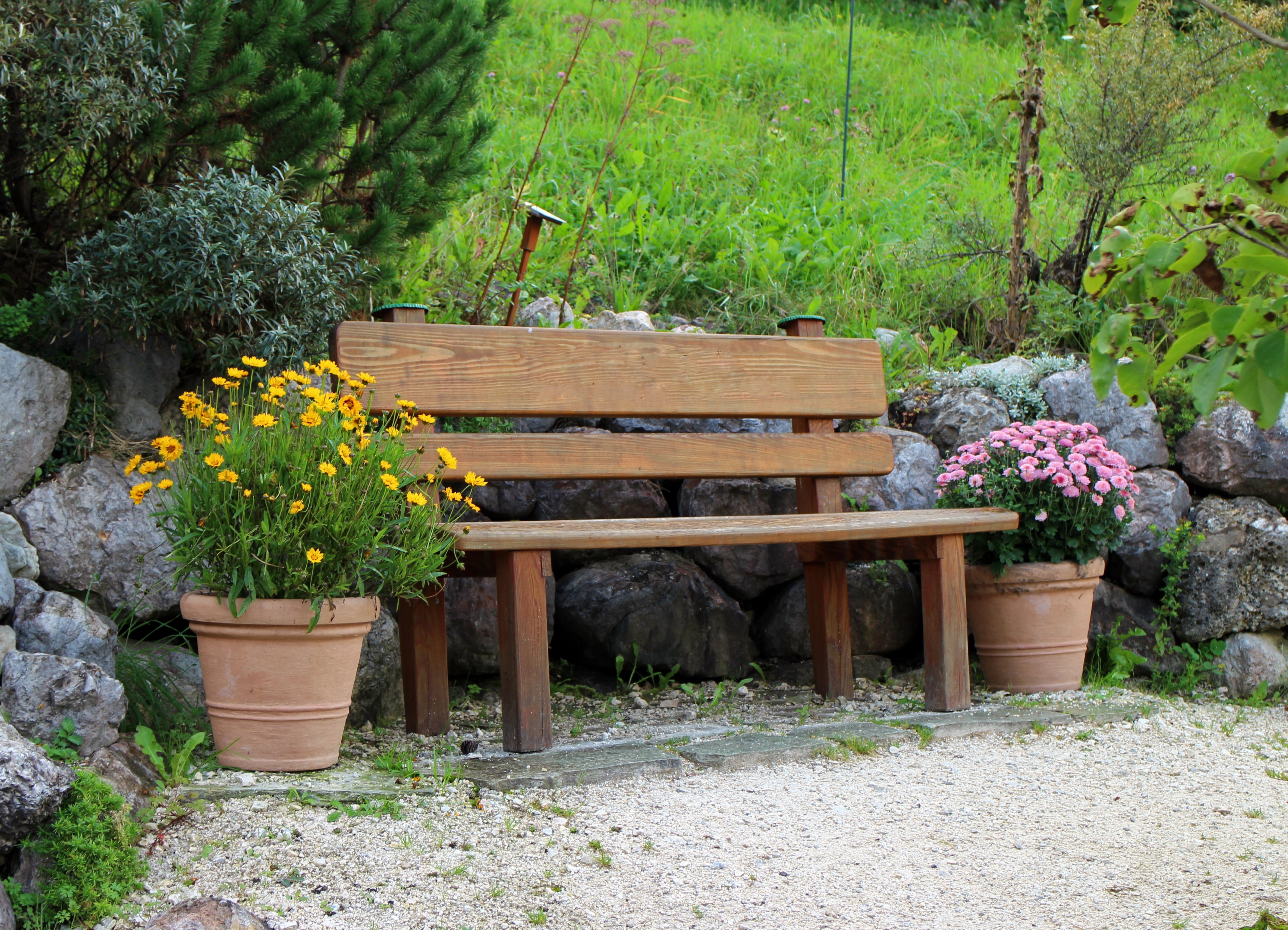 container, brown, bank, rest, purple, tree, growth, beautification, wooden, nature, flower pot, sit, outdoors, wooden bench, beautify, recovery, land, flowering plant, HD Wallpaper