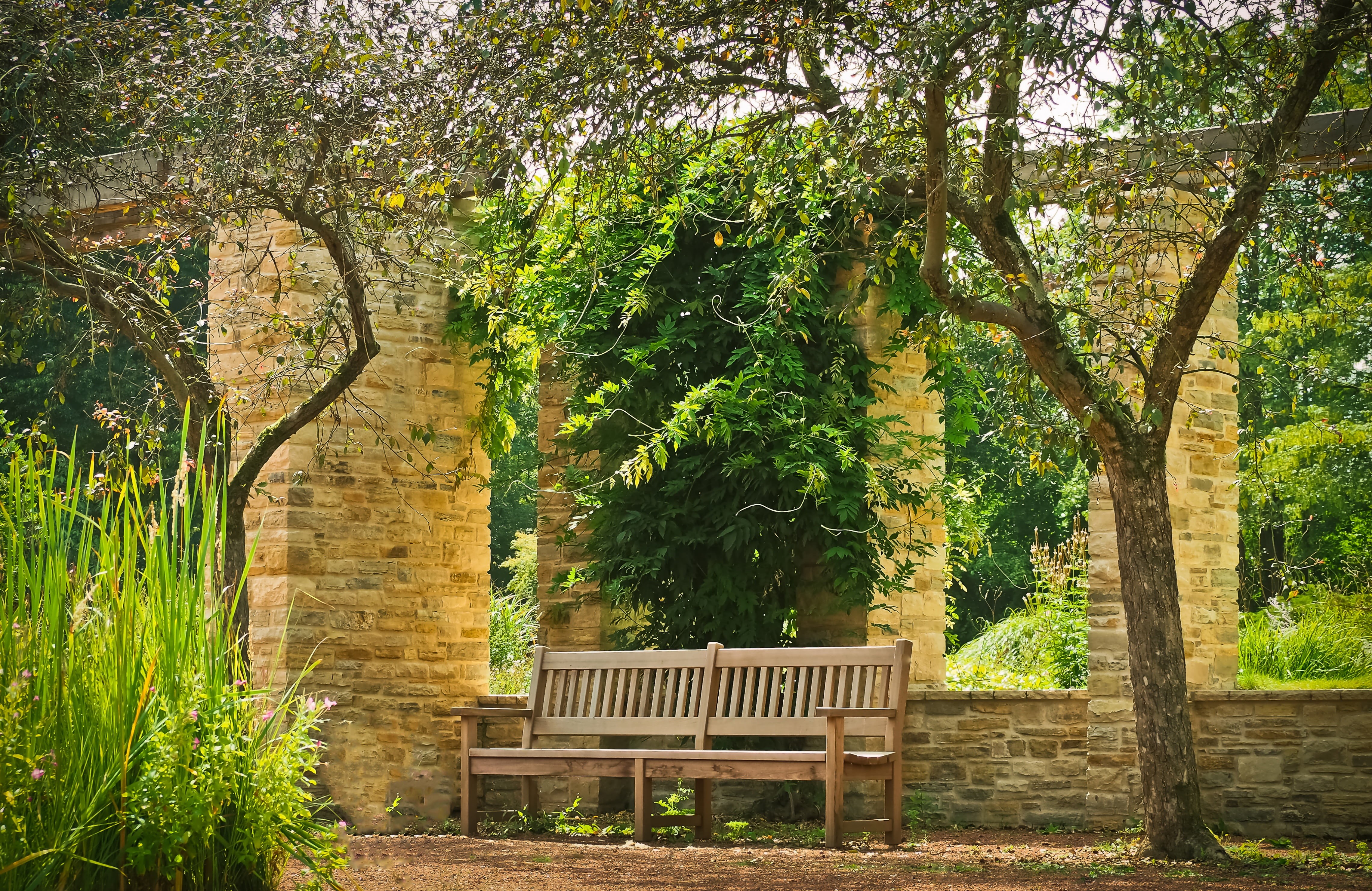 wooden, nature, outdoors, stone column, landscape, seat, plant, tranquil scene, built structure, north park, garden, away, columnar, 4K, park bench, tree trunk, HD Wallpaper
