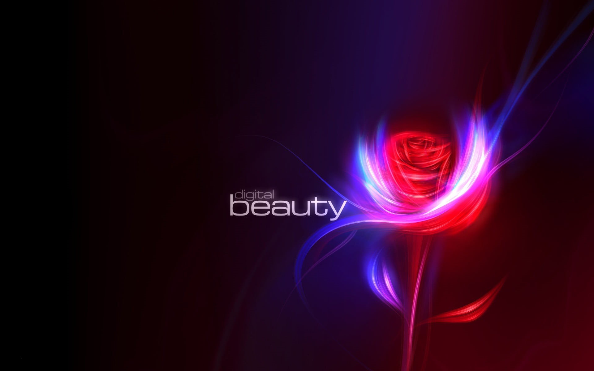 digital art, healthcare and medicine, studio shot, beauty, pattern, science, flowers, nature, 1080P, backgrounds, close-up, rose, communication, HD Wallpaper