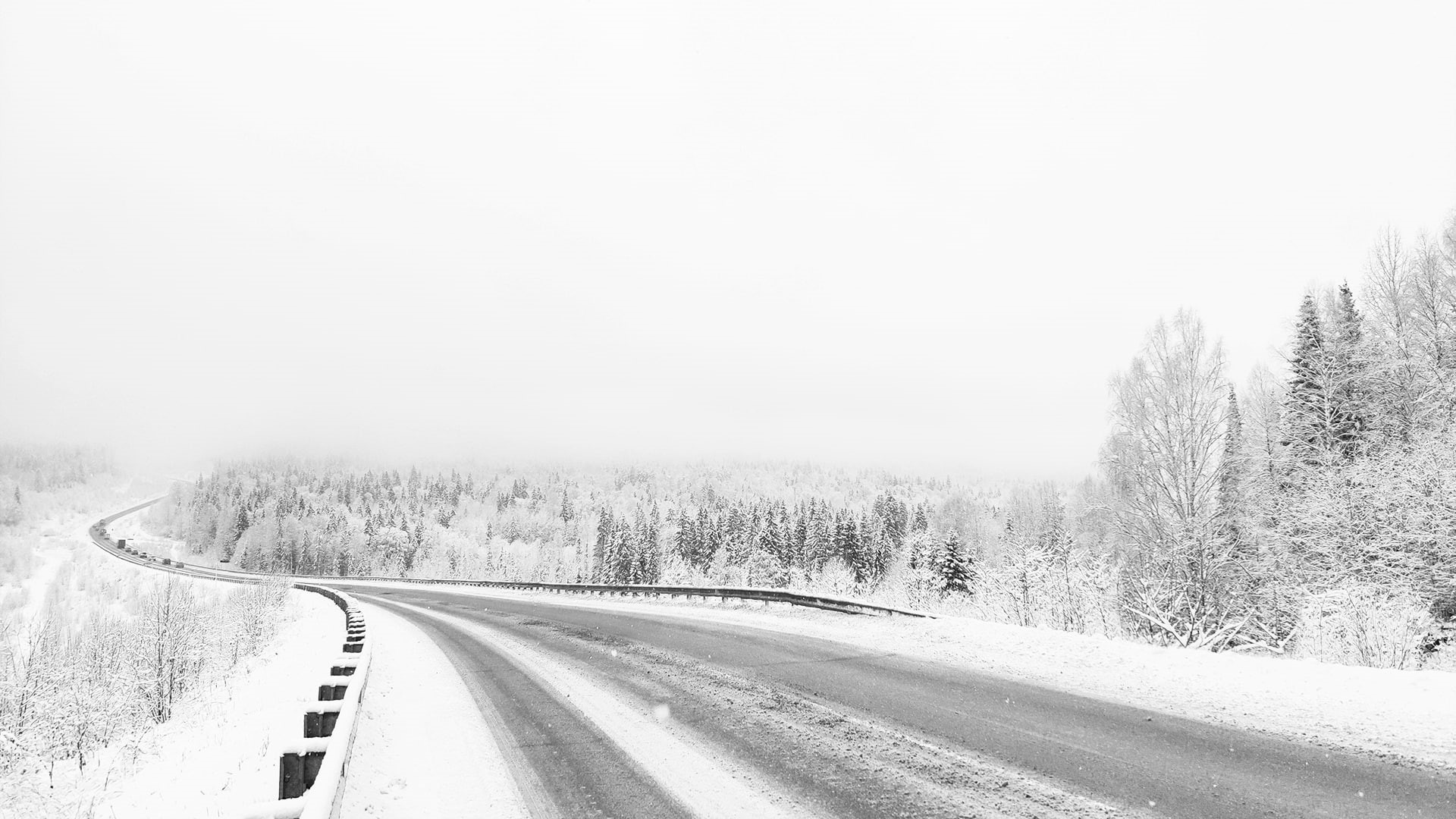 winter, white, trees, snow, monochrome, 1080P, road, forest, minimalism, photography, HD Wallpaper