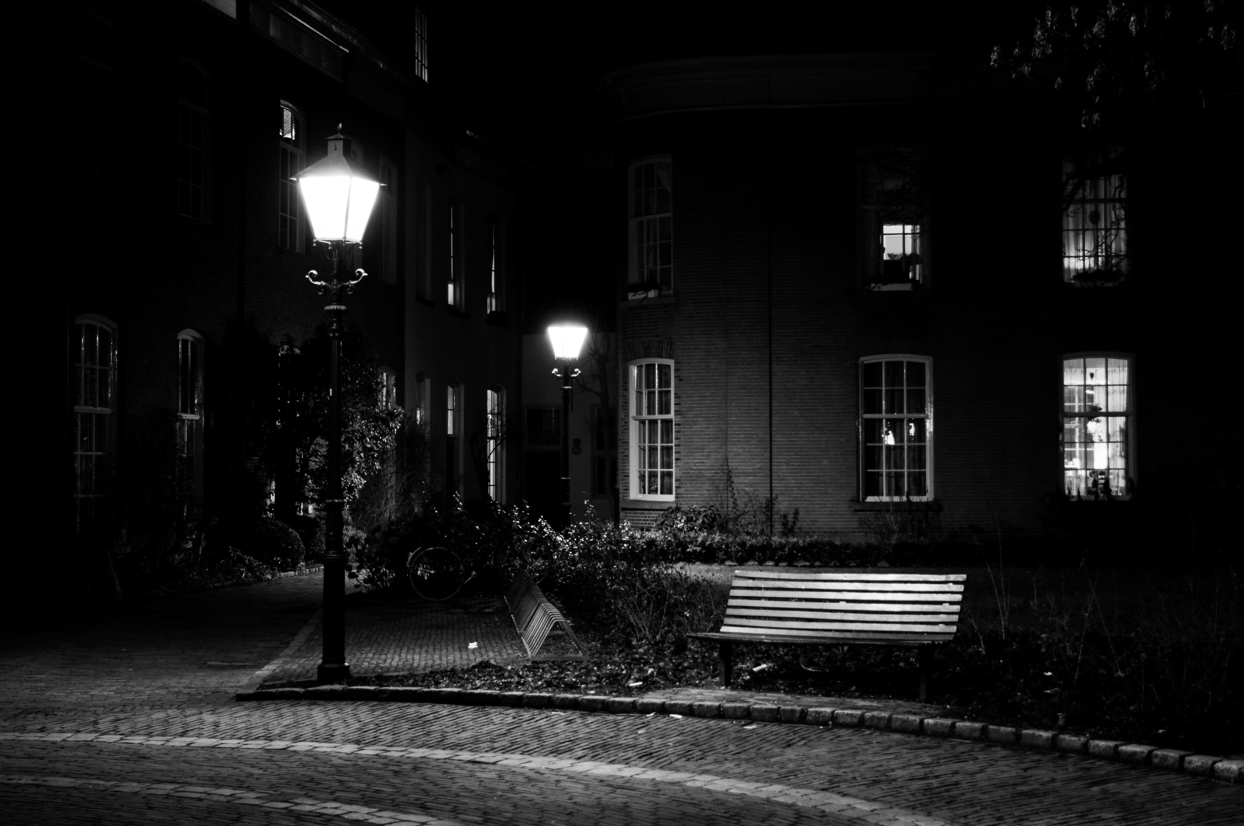 plant, dark, street, road, outdoors, residential district, empty, lighting equipment, grayscale, transportation, photography, built structure, lamps, architecture, HD Wallpaper