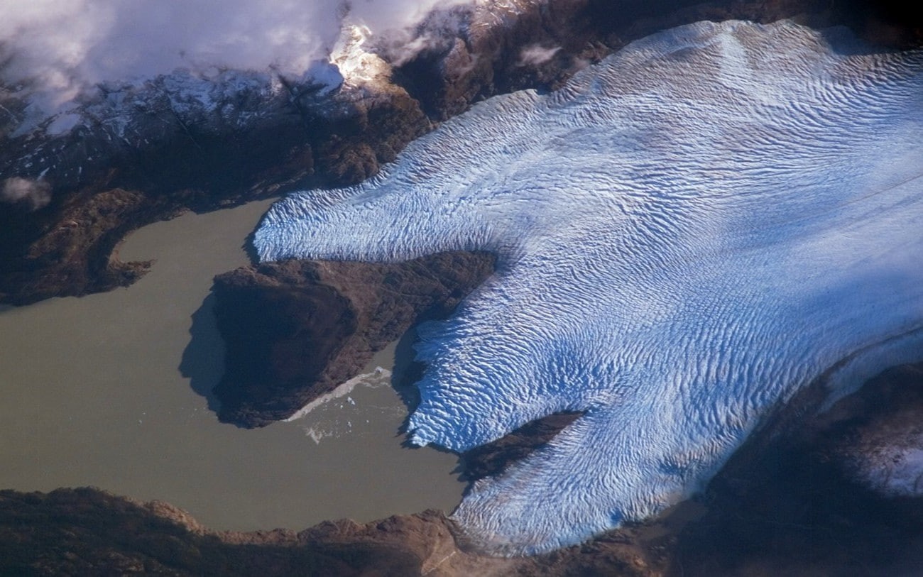 no people, marine, 720P, nature, water, outdoors, one animal, animals in the wild, blue, day, sea, beauty in nature, animal wildlife, mammal, landscape nature glaciers mountain fjord satellite imagery aerial view sea snow chile, HD Wallpaper