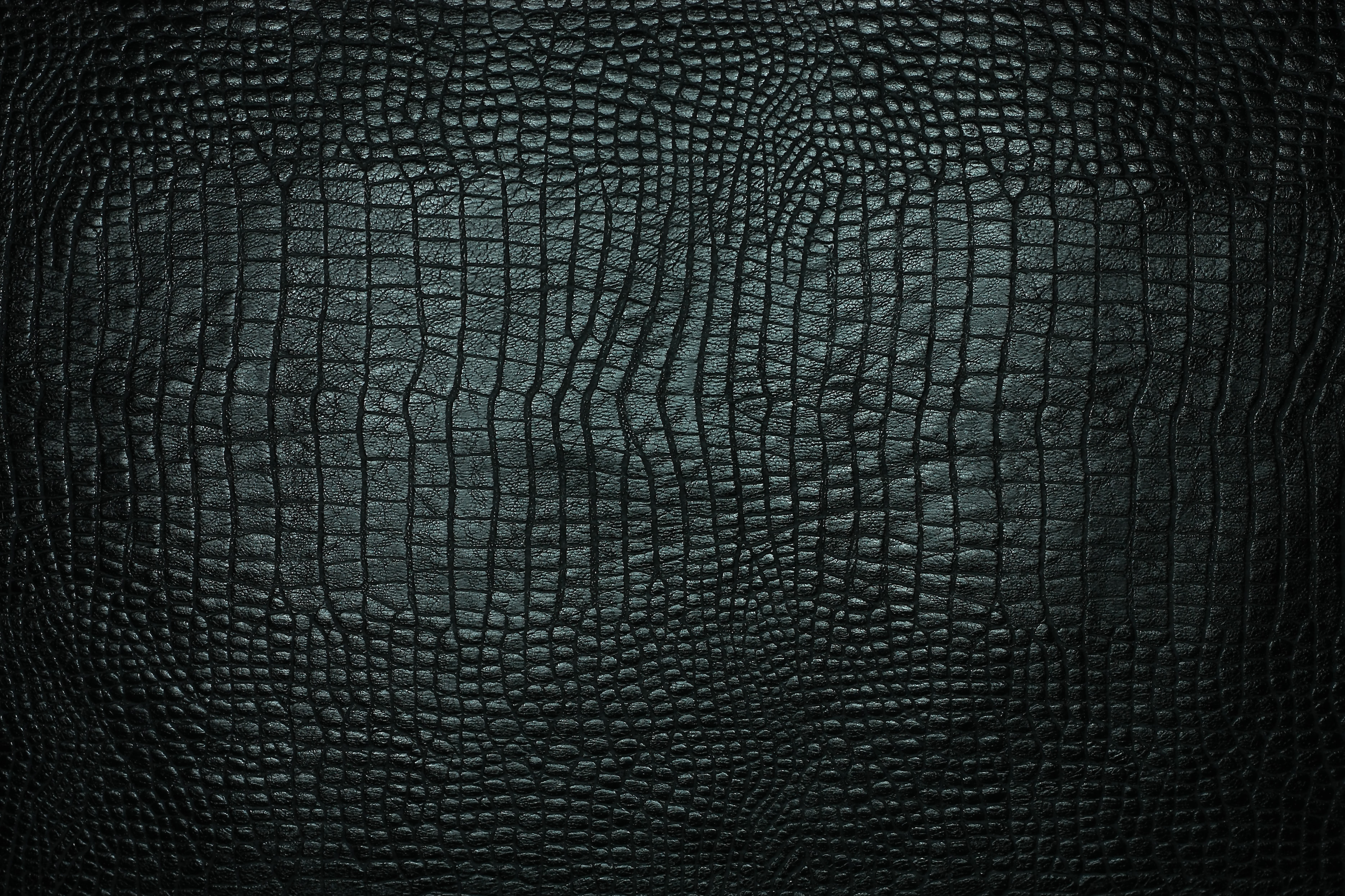 rough, animal, reptile, material, pattern, bumpy, leather Background, full frame, no People, vertebrate, vignette, black Color, leather, jeans, black, pad, HD Wallpaper