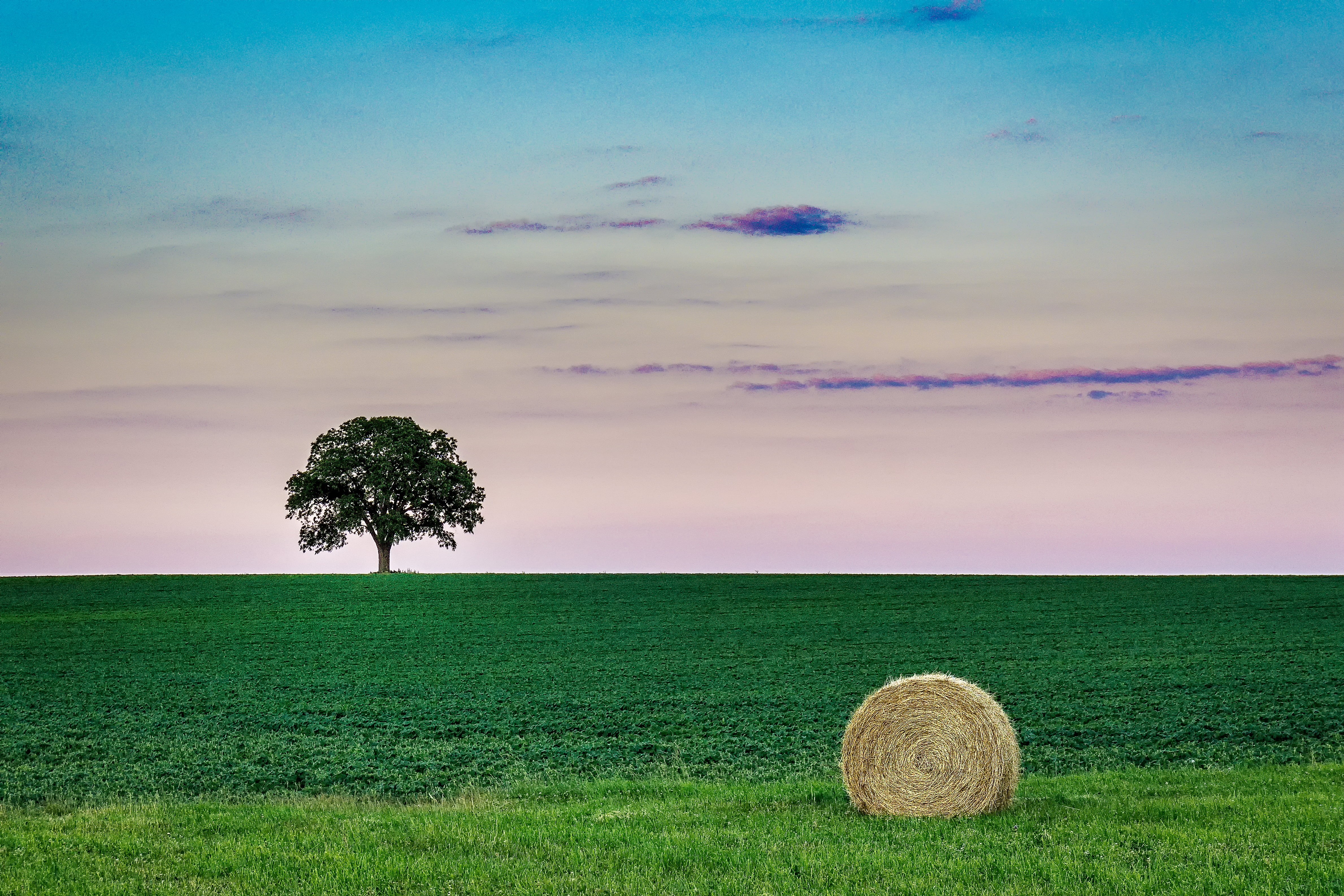 field, haystack, cloud - Sky, green tree, harvesting, sky, colors, crop, Sony  A6000, bale, blue, outdoors, green, rolled, Symphony, hay, nature, Markham  Ontario, HD Wallpaper
