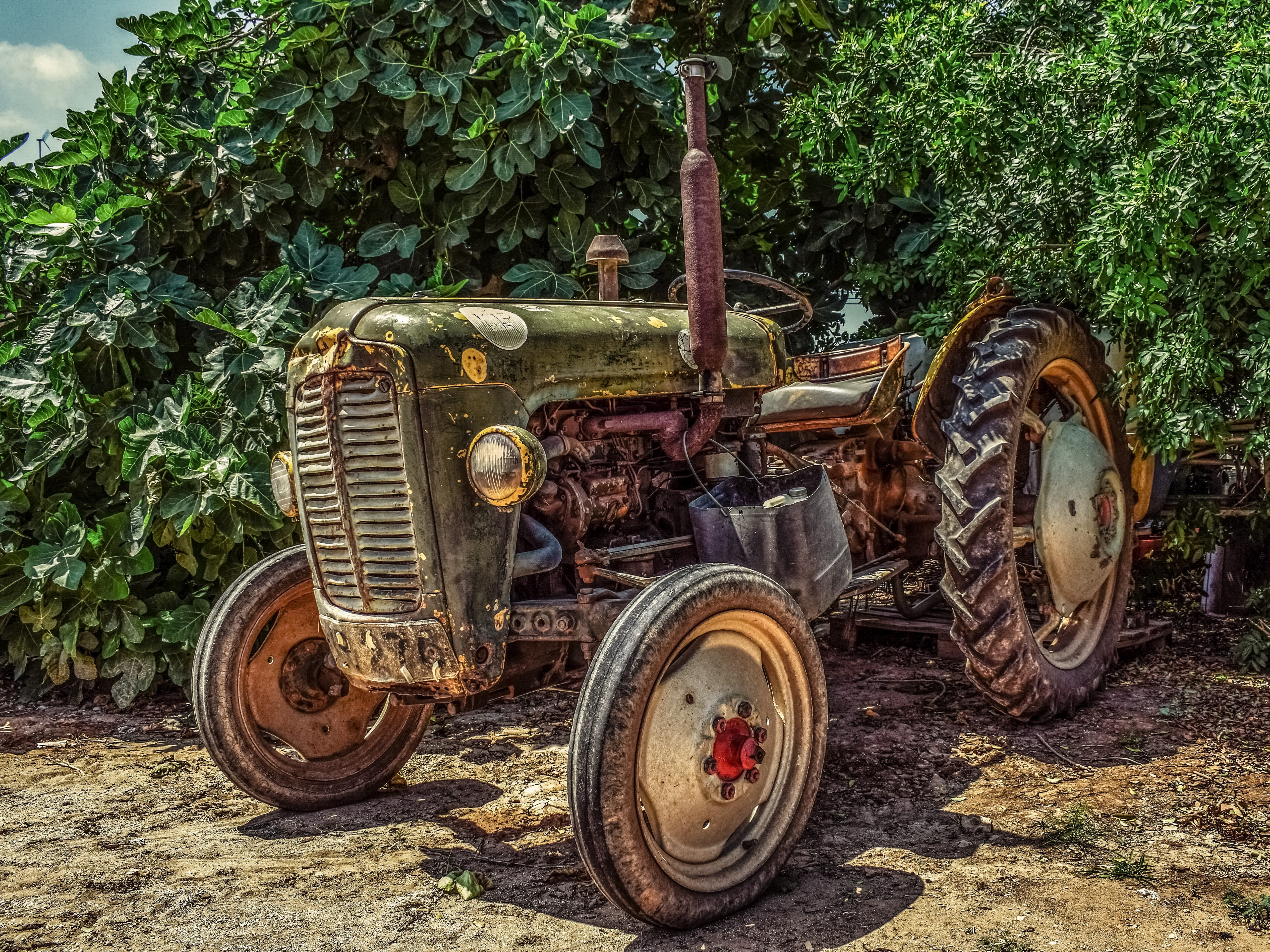 plants, outdoors, green plants, field, abandoned, machine, tire, wheel, land, agriculture, old, beside, stationary, land vehicle, agricultural machinery, HD Wallpaper