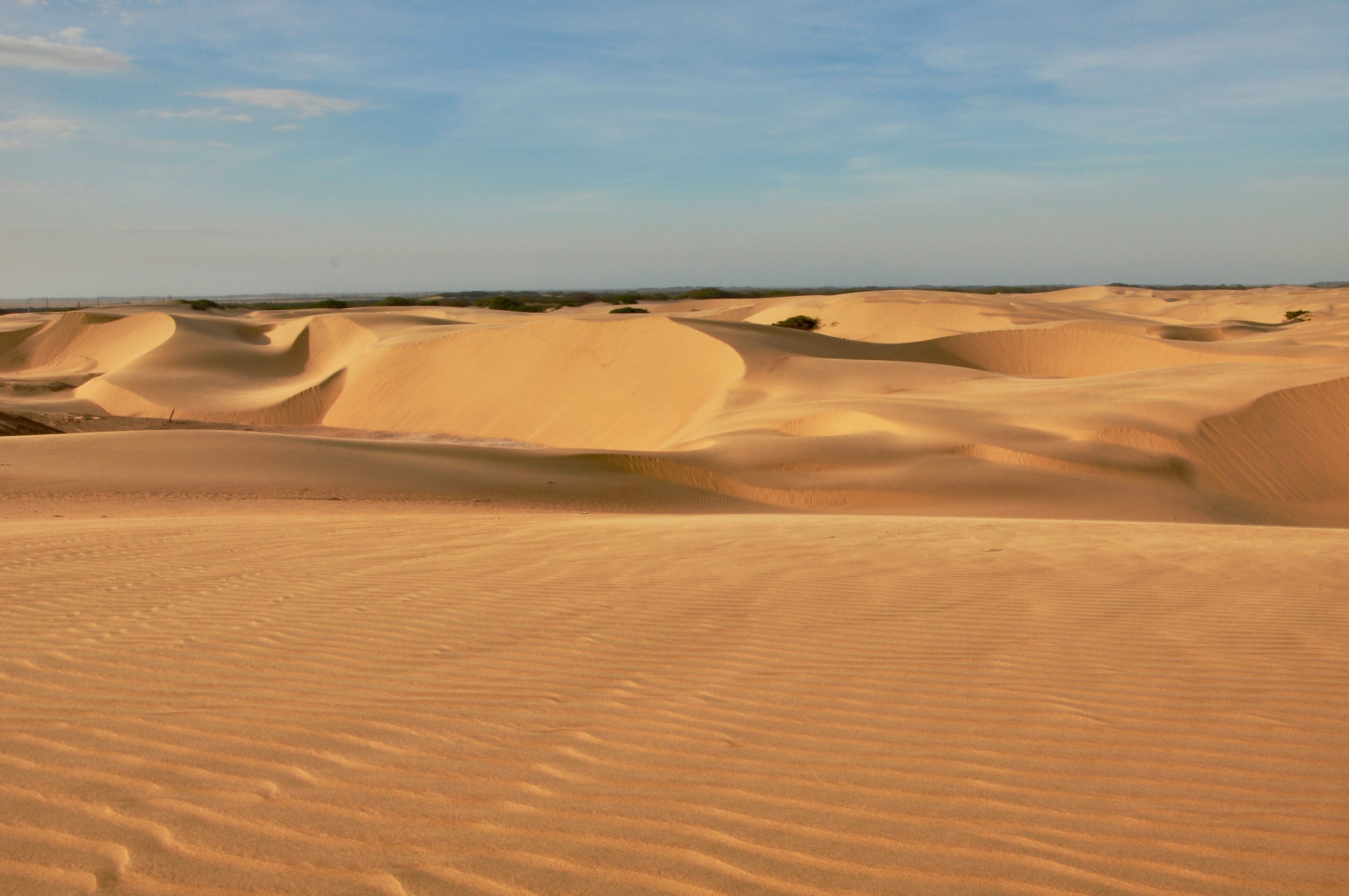 world, Falcon, Adventure, remote, scenics - nature, tourism, map, view, dry, horizon, scenics, non-urban scene, land, tour, morocco, city, sand, travel, HD Wallpaper