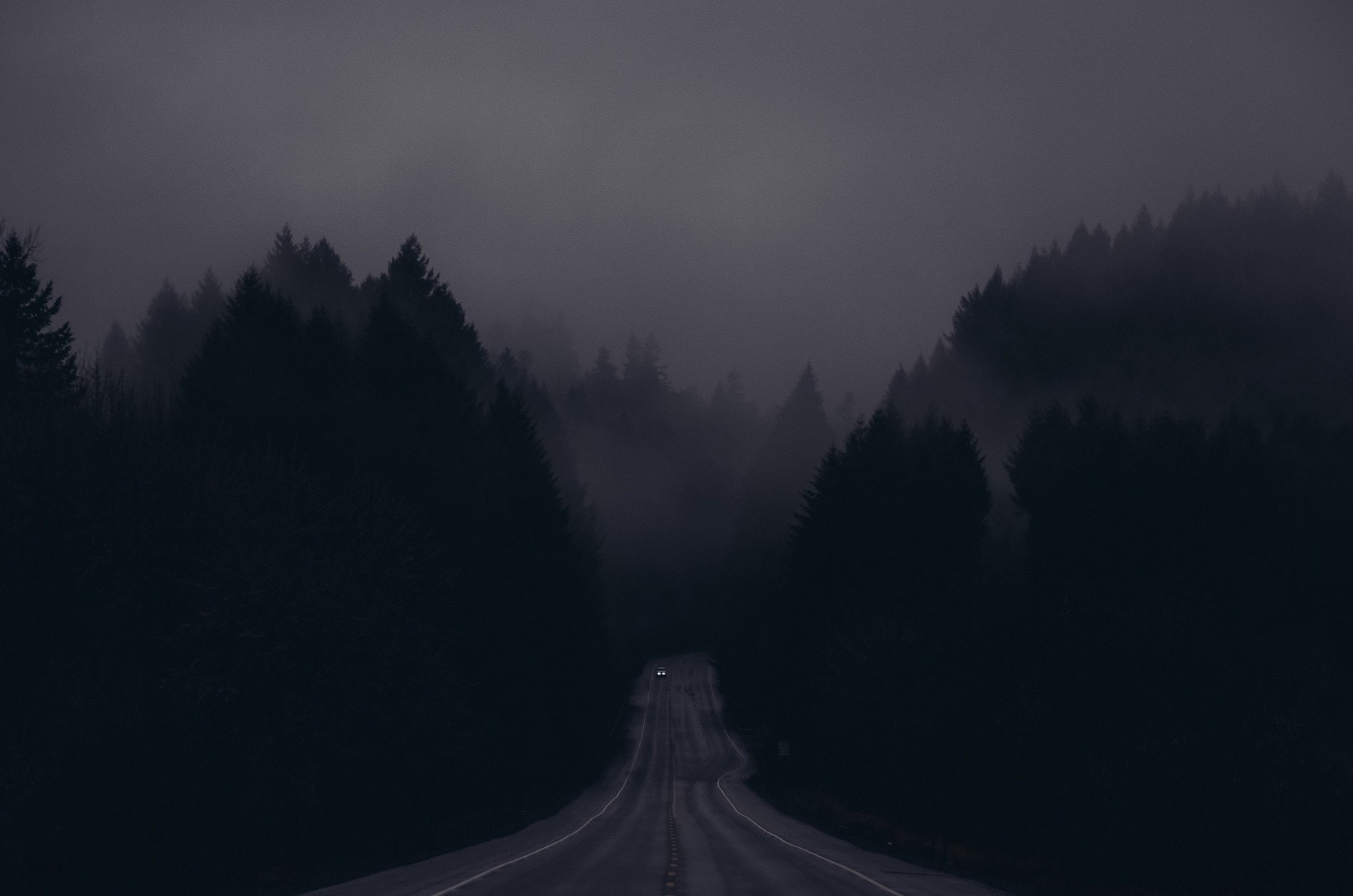 dark, trees, forest, road, night, 1080P, mist, HD Wallpaper