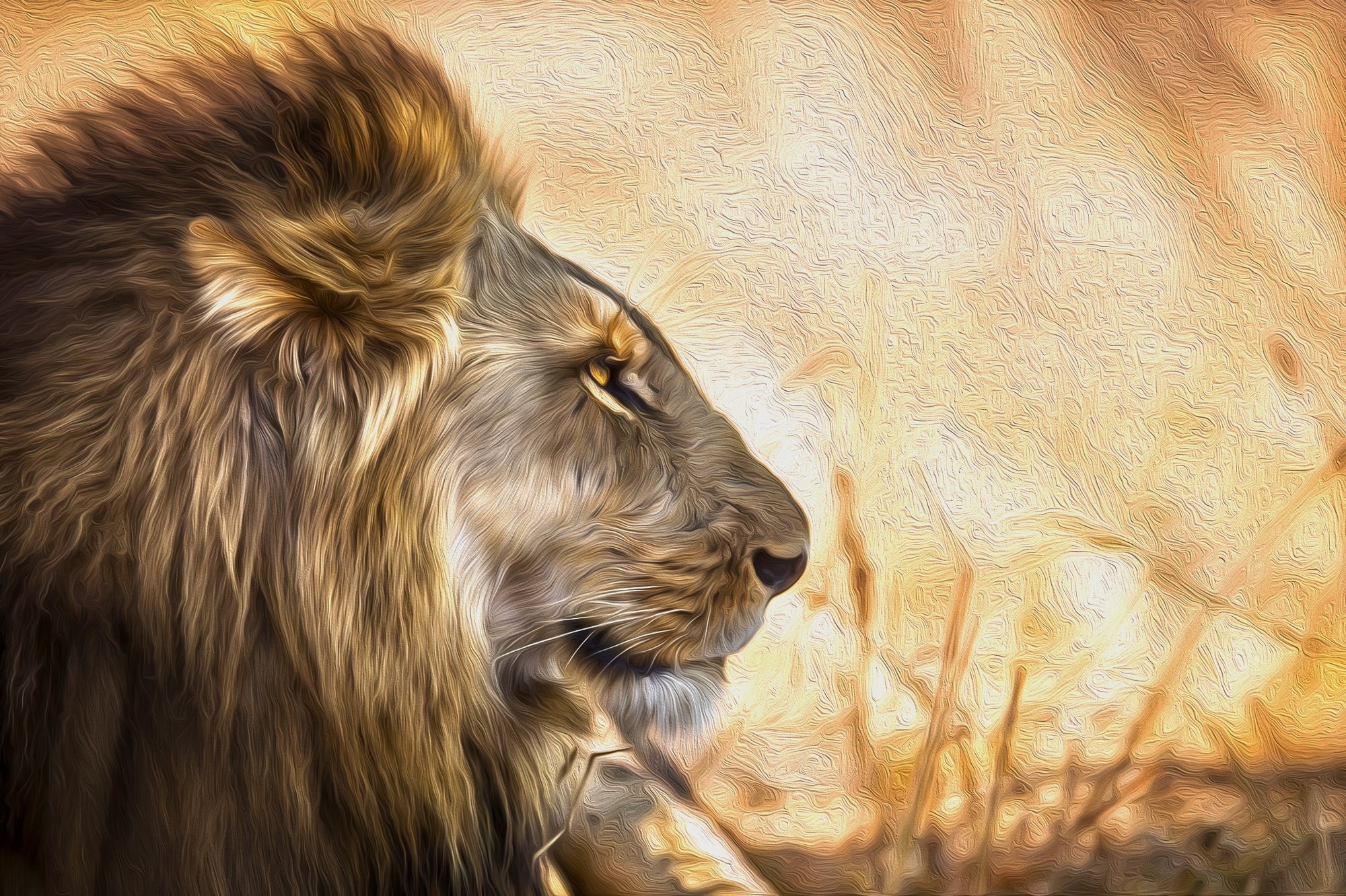1080P, lion, king, big cats, animals, nature, HD Wallpaper