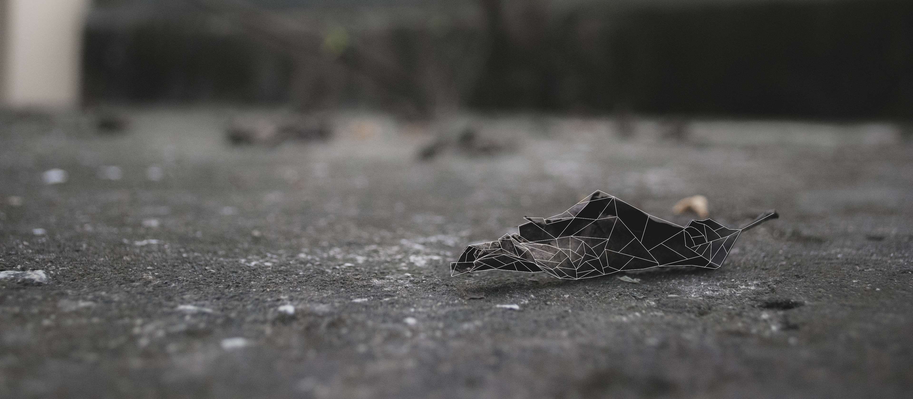 still life, 4K, crumpled paper ball, lowpoly, street, nature, single object, footpath, absence, no people, close-up, the last leaf, outdoors, sadness, HD Wallpaper