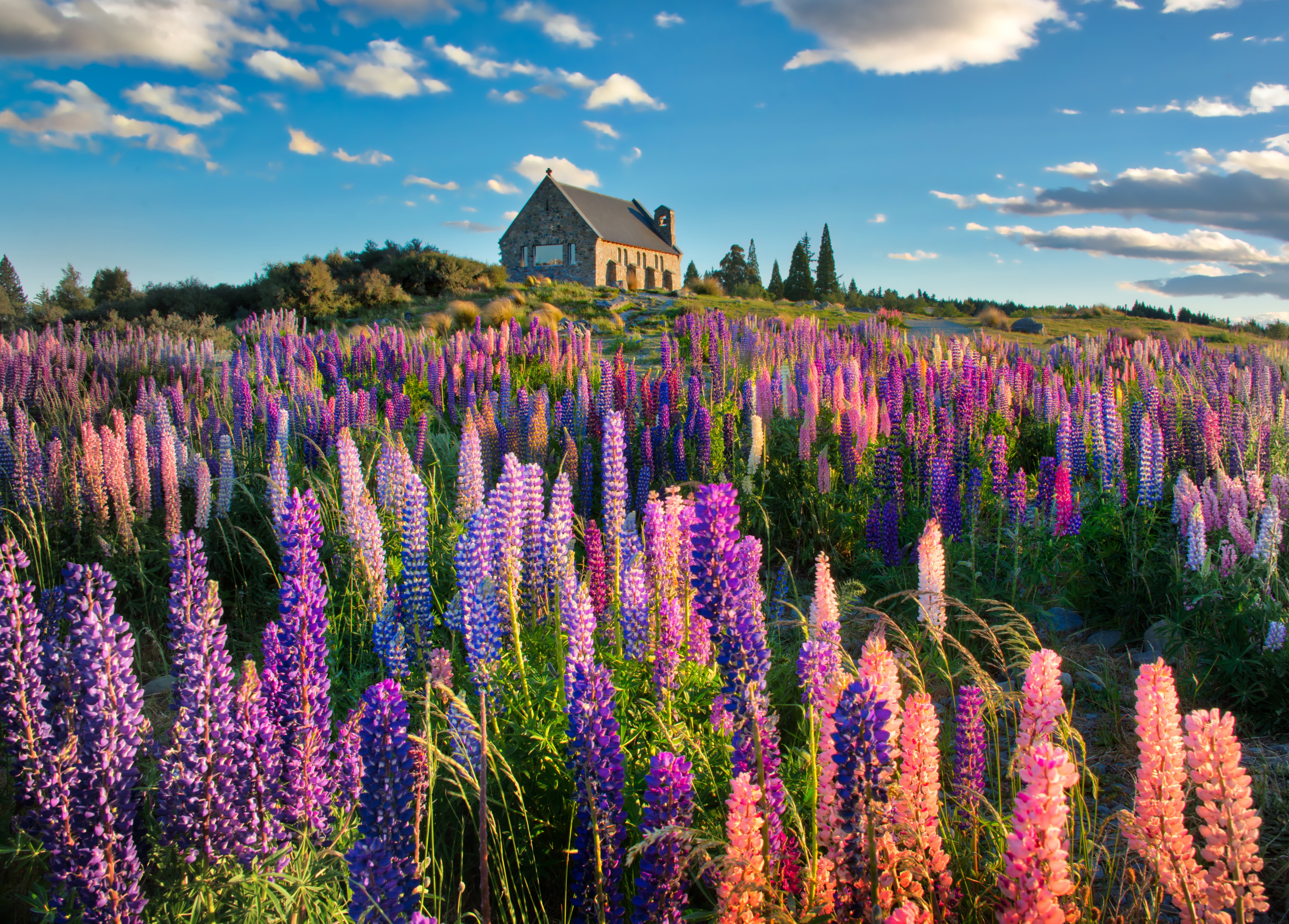 Spring, RR, Blue  Marble, plant, Sky, near, Cloud, Outdoor, nature, lavender, New Zealand, March, Day  Night, summer, Building  Stone, National Park, Moon, HD Wallpaper