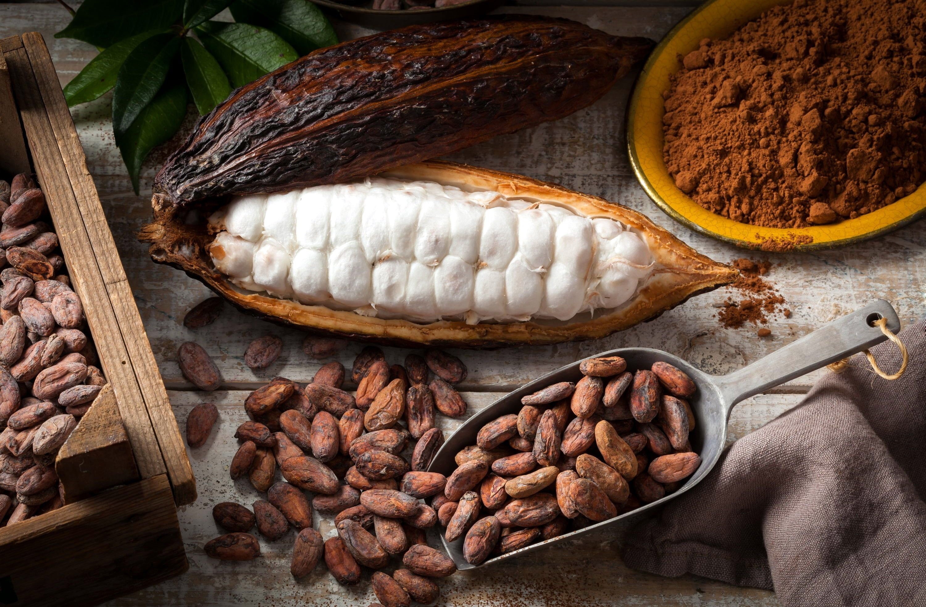 spices, still life, food, 2K, chocolate, cocoa beans, HD Wallpaper